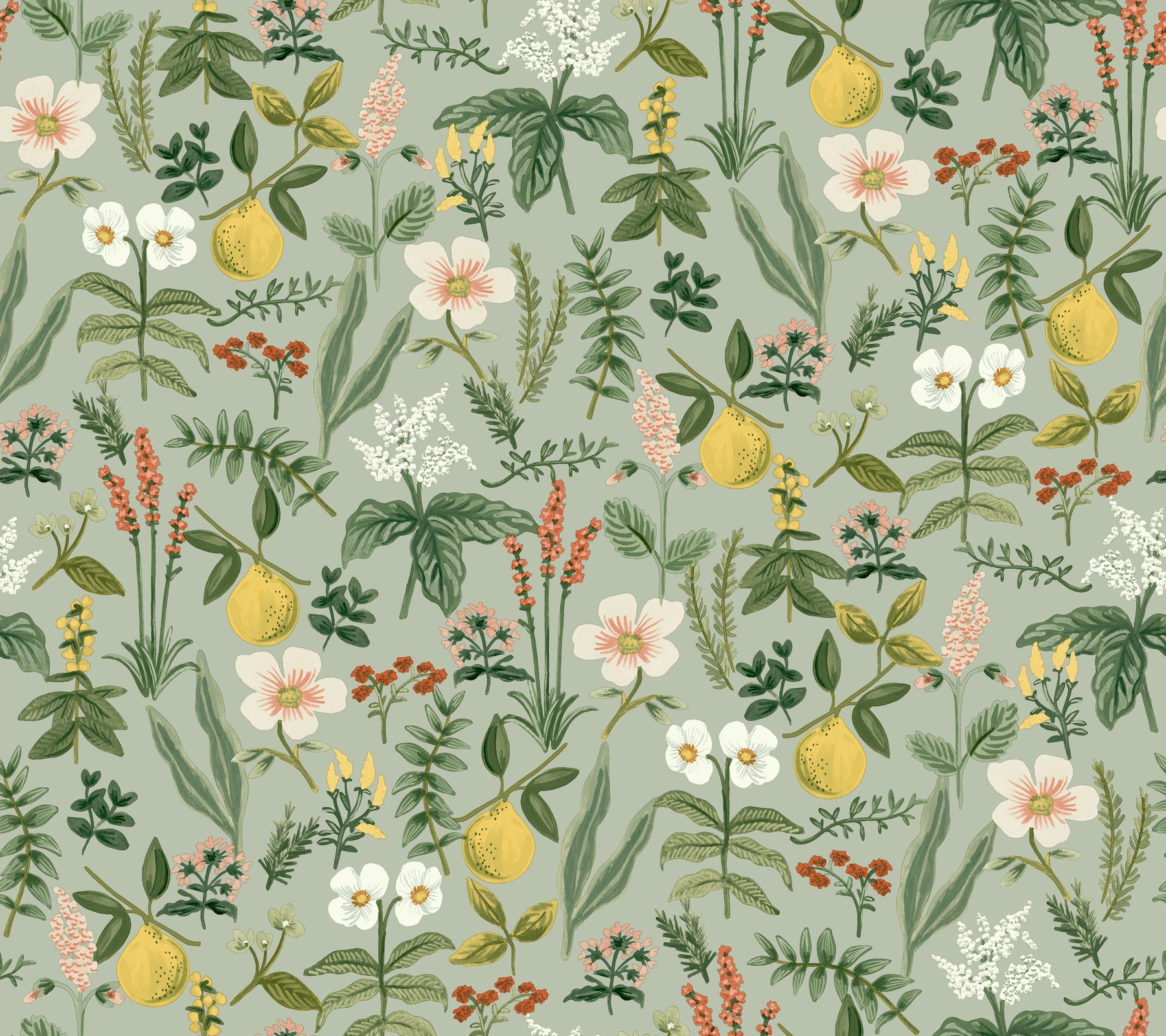 Herb Garden Botanical Peel and Stick wallpaper in sage color - pattern number PSW1675RL - by Rifle Paper Co in the Rifle Paper Co Fifth Edition Peel and Stick Wallpaper collection