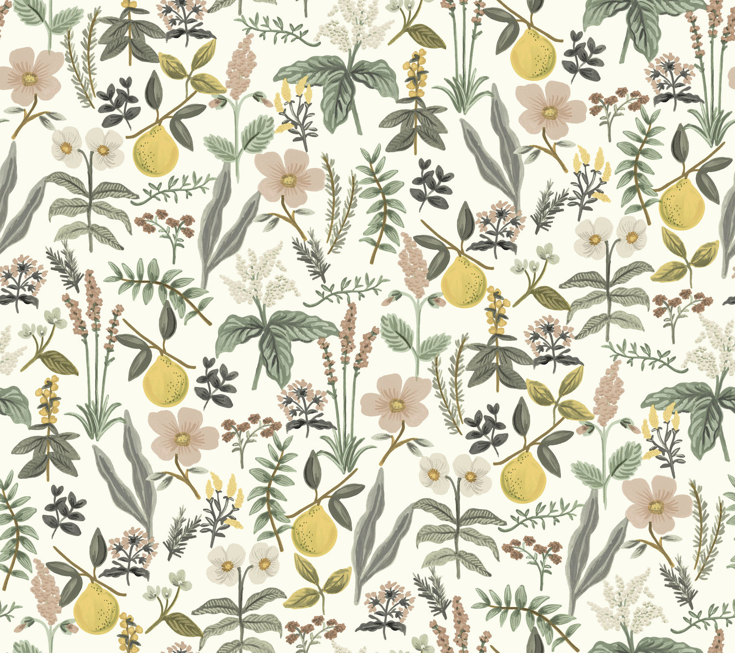 Herb Garden Botanical Peel and Stick wallpaper in cream color - pattern number PSW1678RL - by Rifle Paper Co in the Rifle Paper Co Fifth Edition Peel and Stick Wallpaper collection