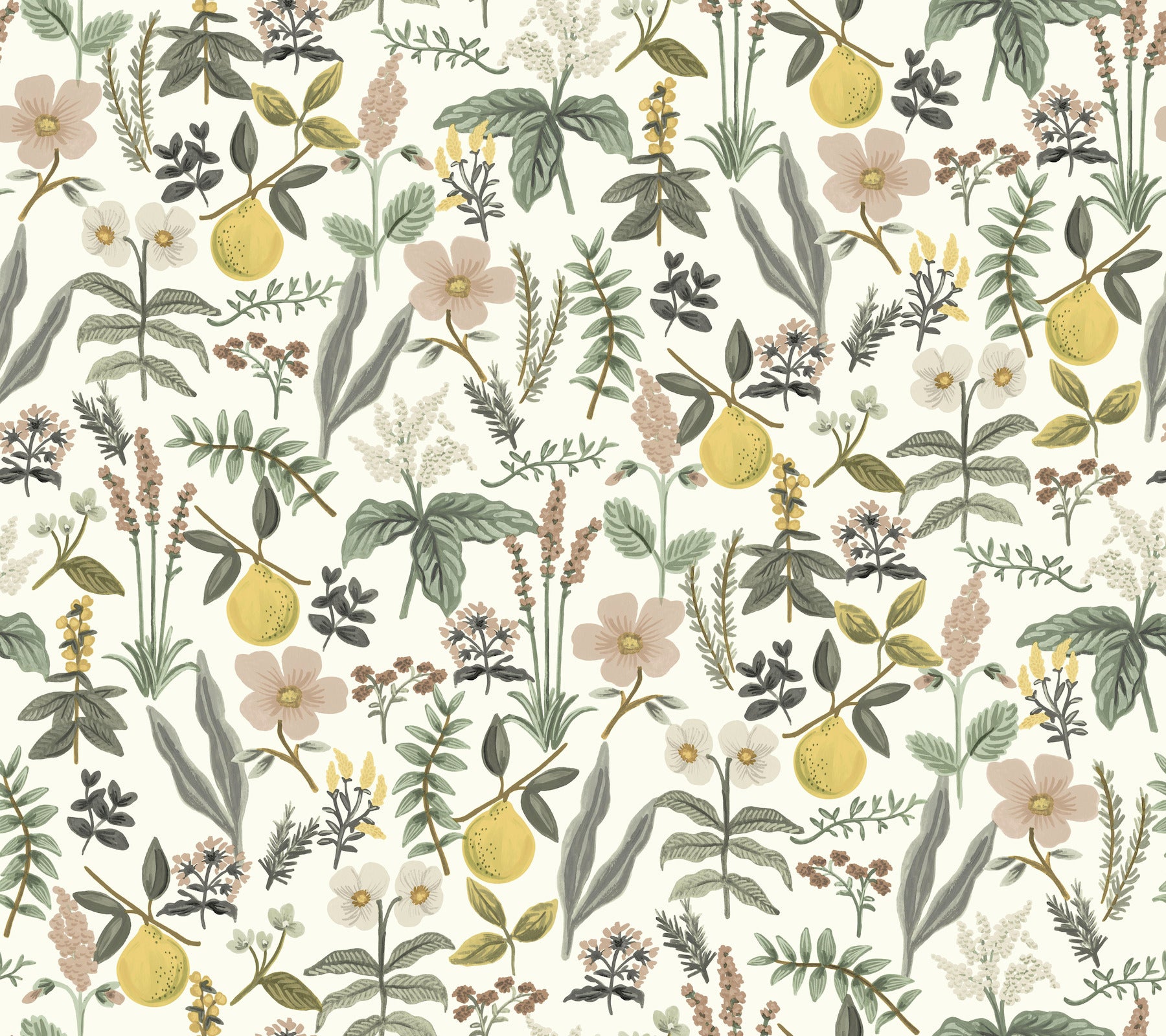 Herb Garden Botanical Peel and Stick wallpaper in cream color - pattern number PSW1678RL - by Rifle Paper Co in the Rifle Paper Co Fifth Edition Peel and Stick Wallpaper collection