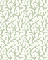 Inaya Wallpaper in Sage color - pattern number PWC100010.30.0 - by The Pure Edit in the Sustainable Wallcovering collection