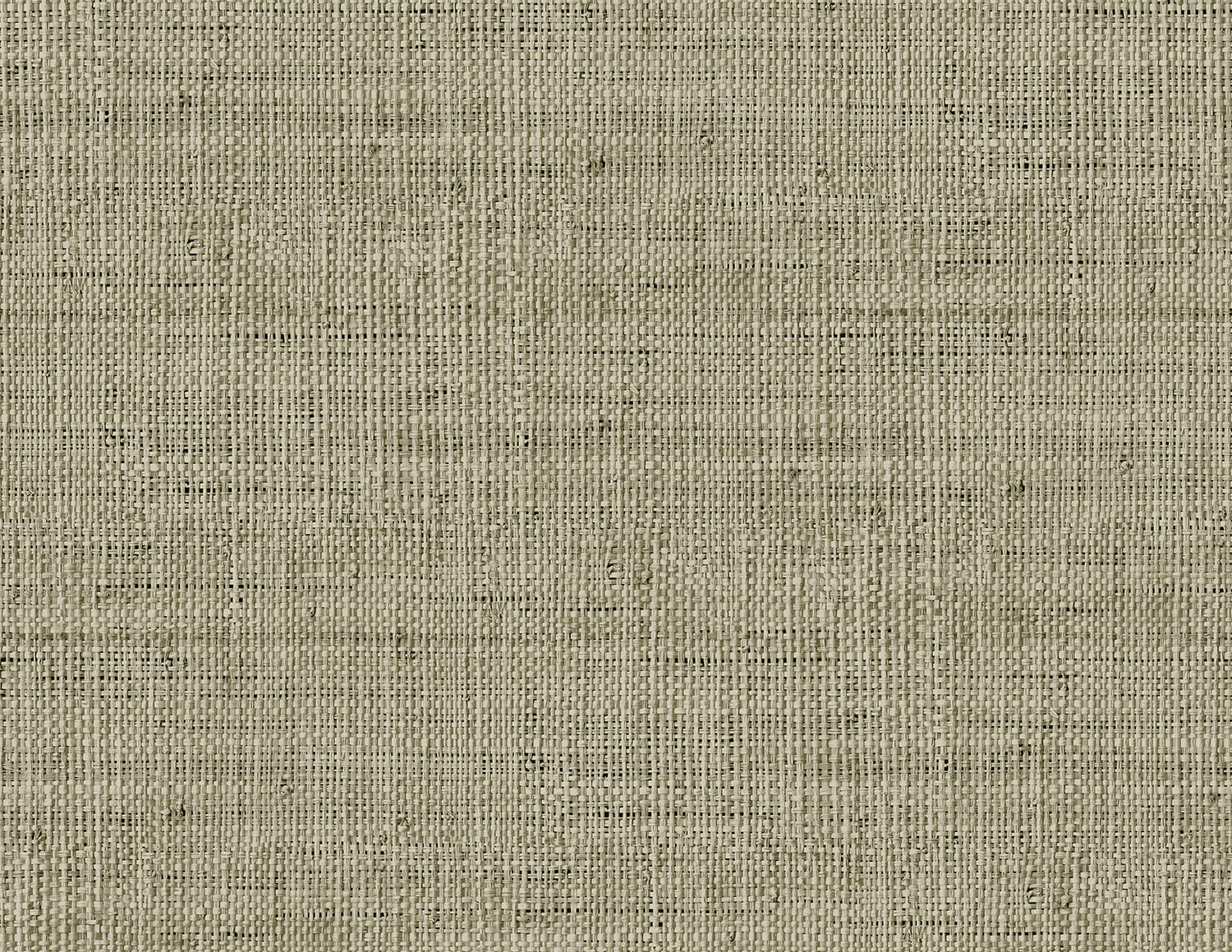 Wild Bind wallpaper in taupe color - pattern number RA40317 - by Seabrook in the Raffia collection