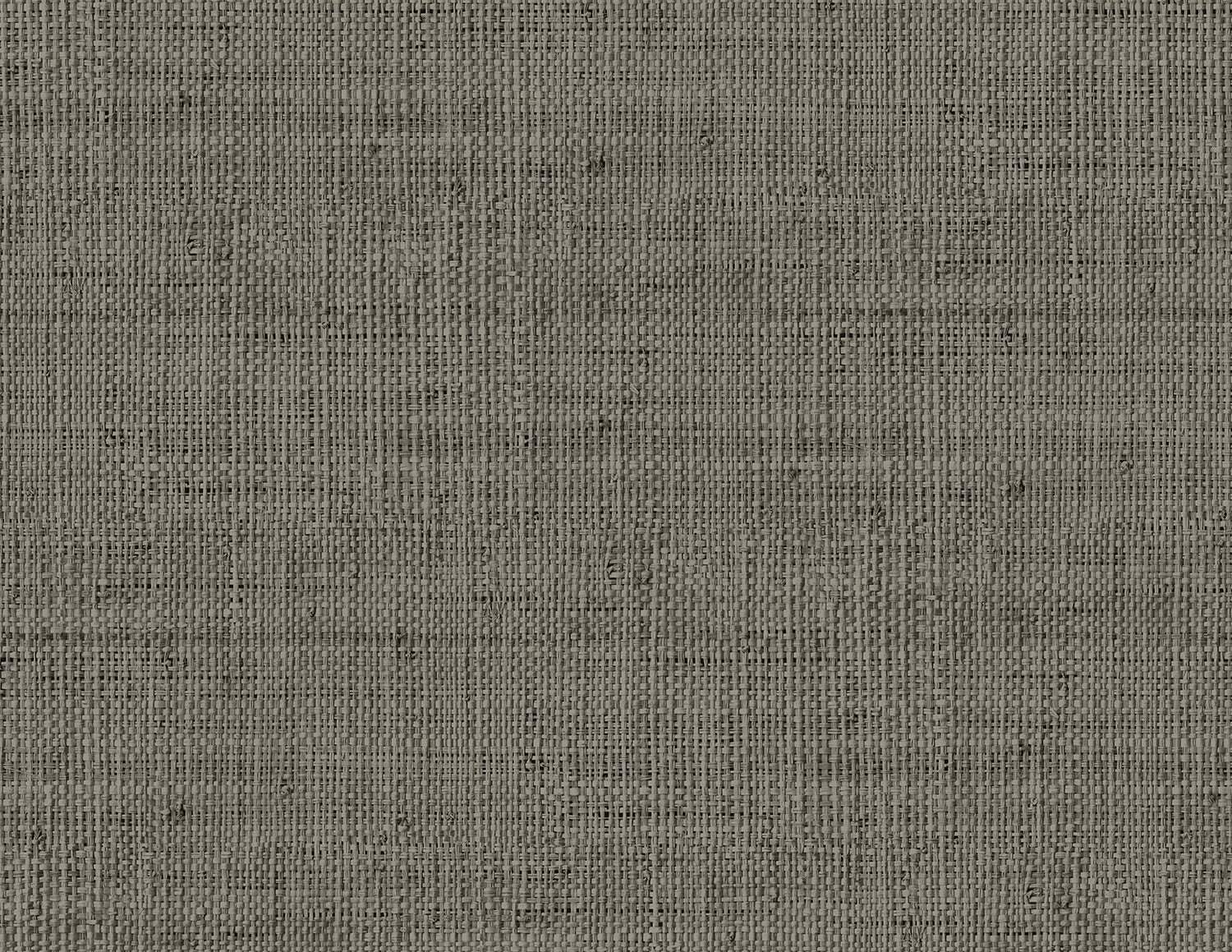 Wild Bind wallpaper in grey storm color - pattern number RA40319 - by Seabrook in the Raffia collection