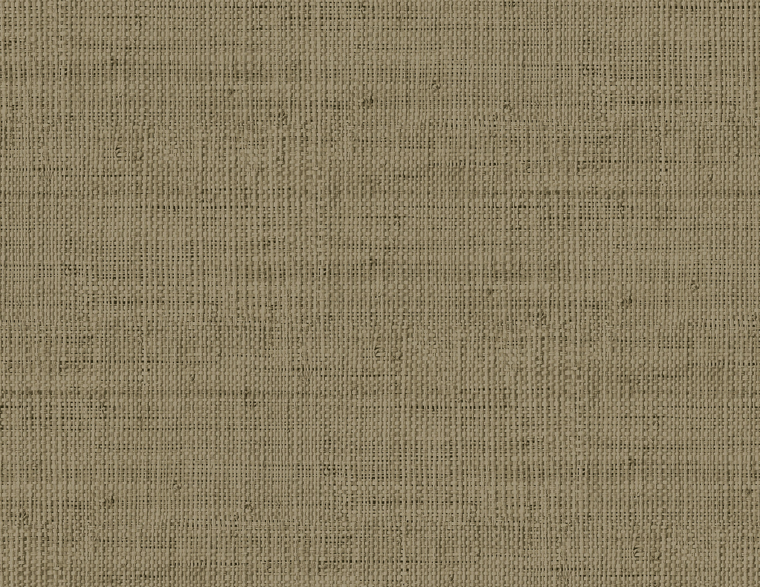 Wild Bind wallpaper in cafe latte color - pattern number RA40350 - by Seabrook in the Raffia collection
