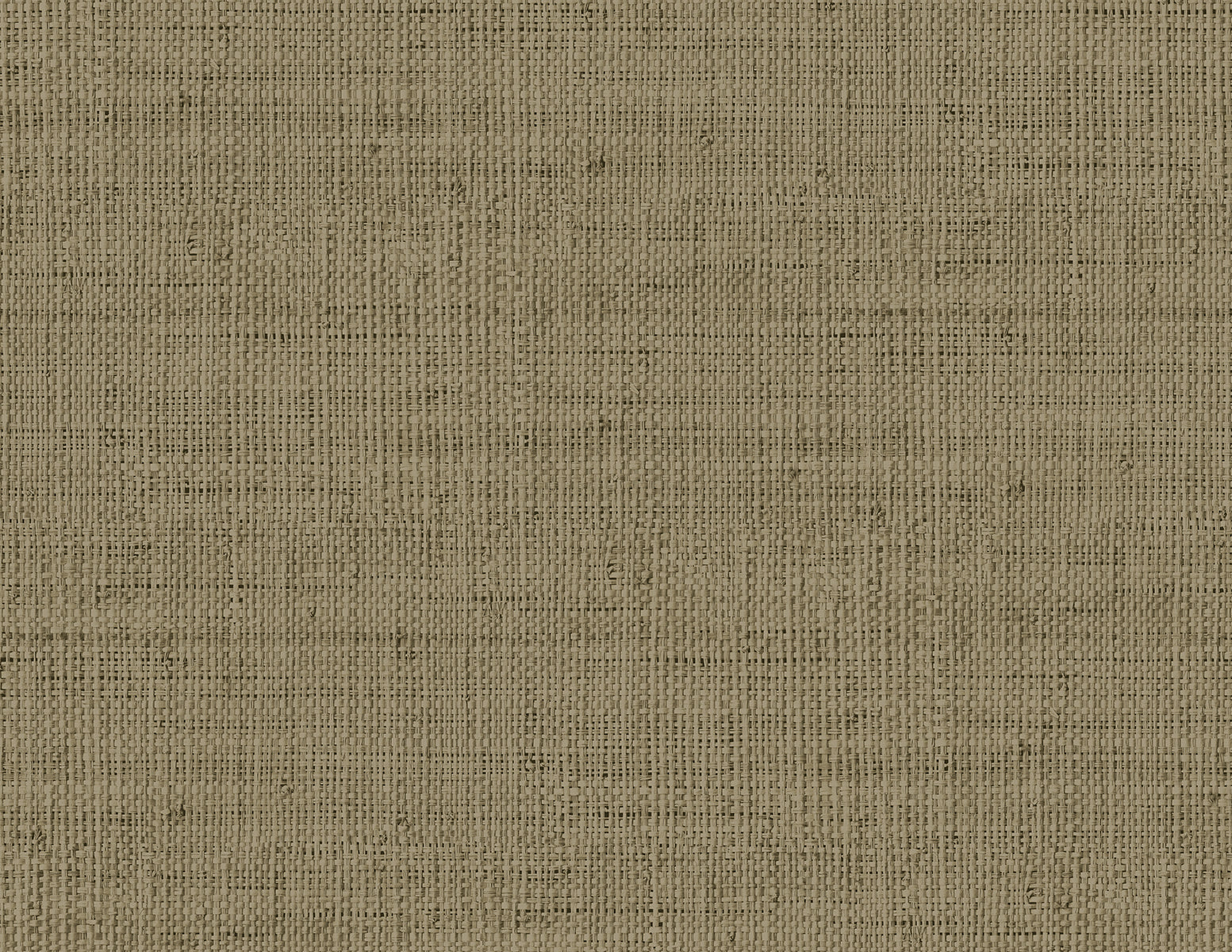 Wild Bind wallpaper in cafe latte color - pattern number RA40350 - by Seabrook in the Raffia collection