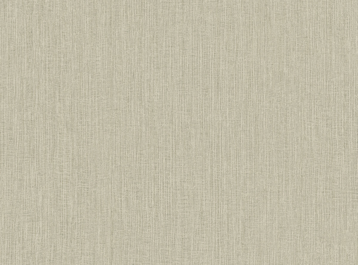Tether Patterns Natural Tether Seashell RA41522 Wallpaper by Seabrook - Wallpapers To Go