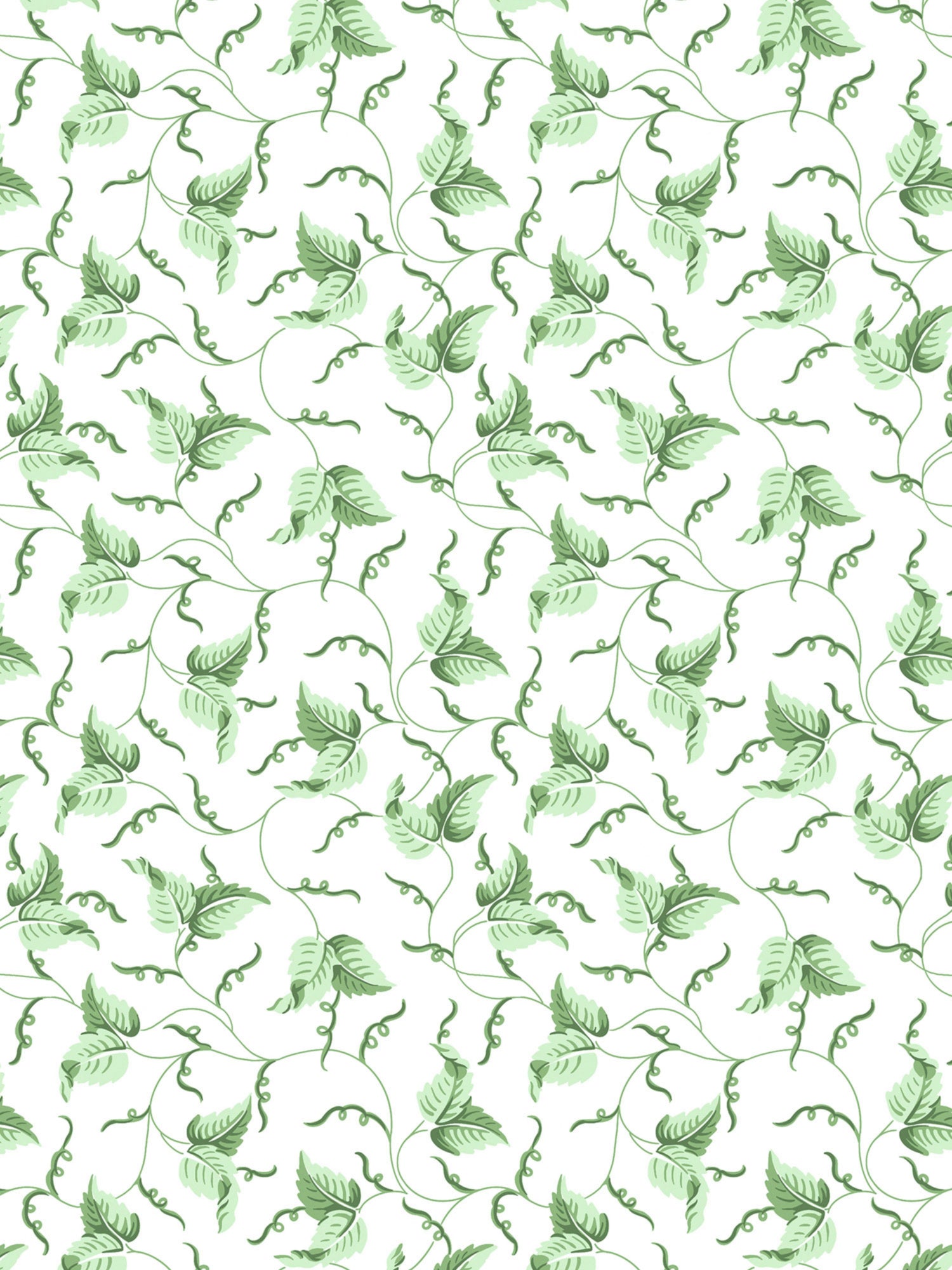 Angle Leaf wallpaper in moss color - pattern number SC WP81525D0003 - by Scalamandre in the  collection