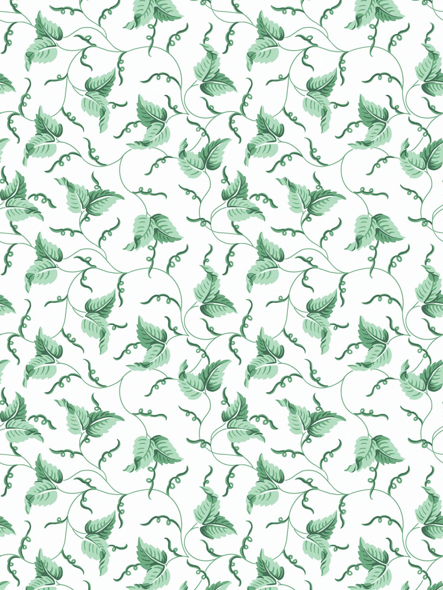 Angle Leaf wallpaper in jade color - pattern number SC WP81525D0005 - by Scalamandre in the  collection