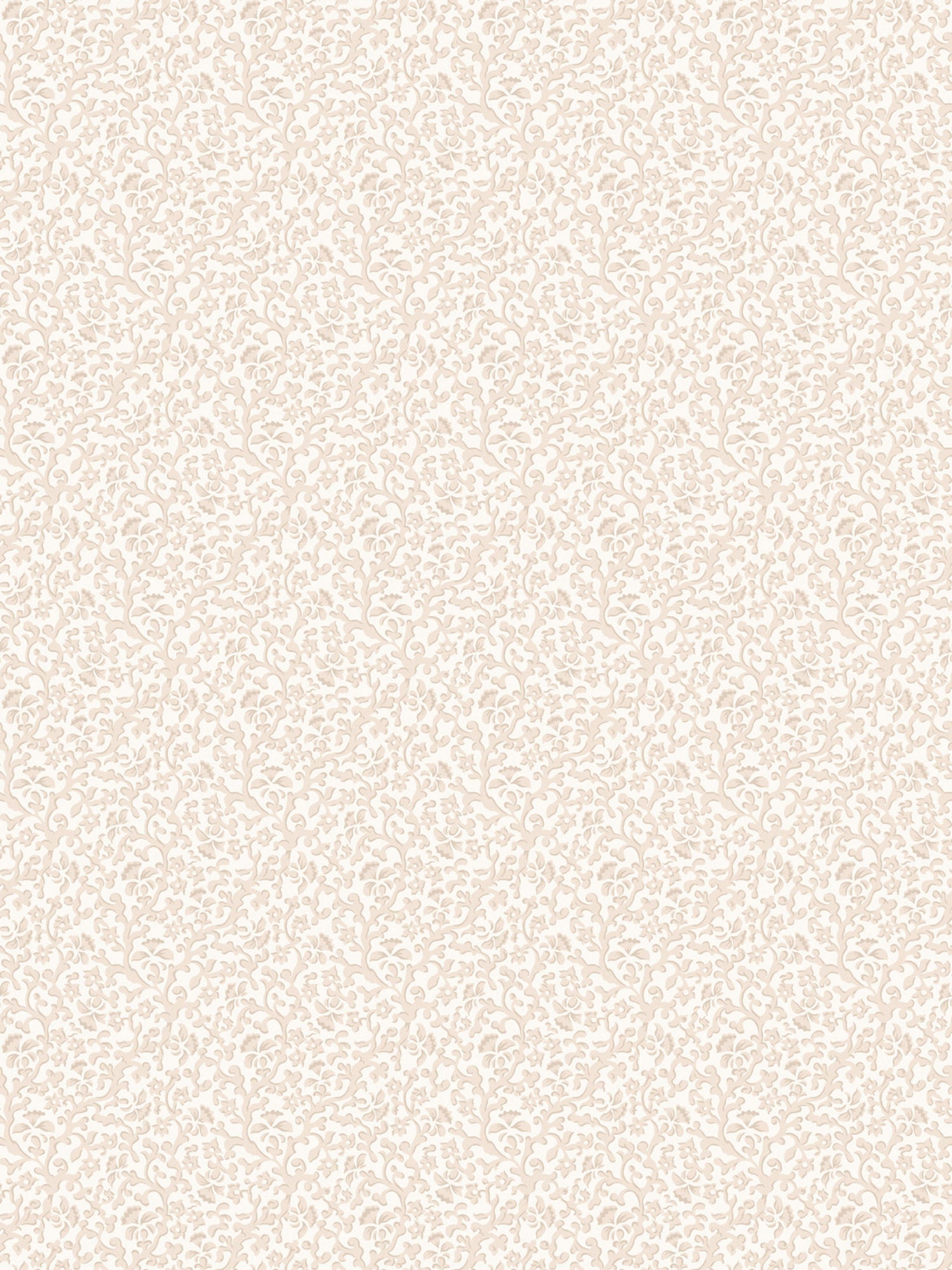 Bandbox wallpaper in cream puff color - pattern number SC WP88087D0002 - by Scalamandre in the  collection
