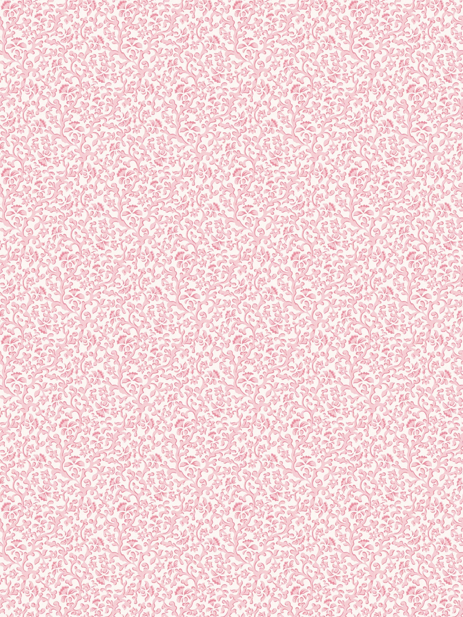 Bandbox wallpaper in posey color - pattern number SC WP88087D0004 - by Scalamandre in the  collection
