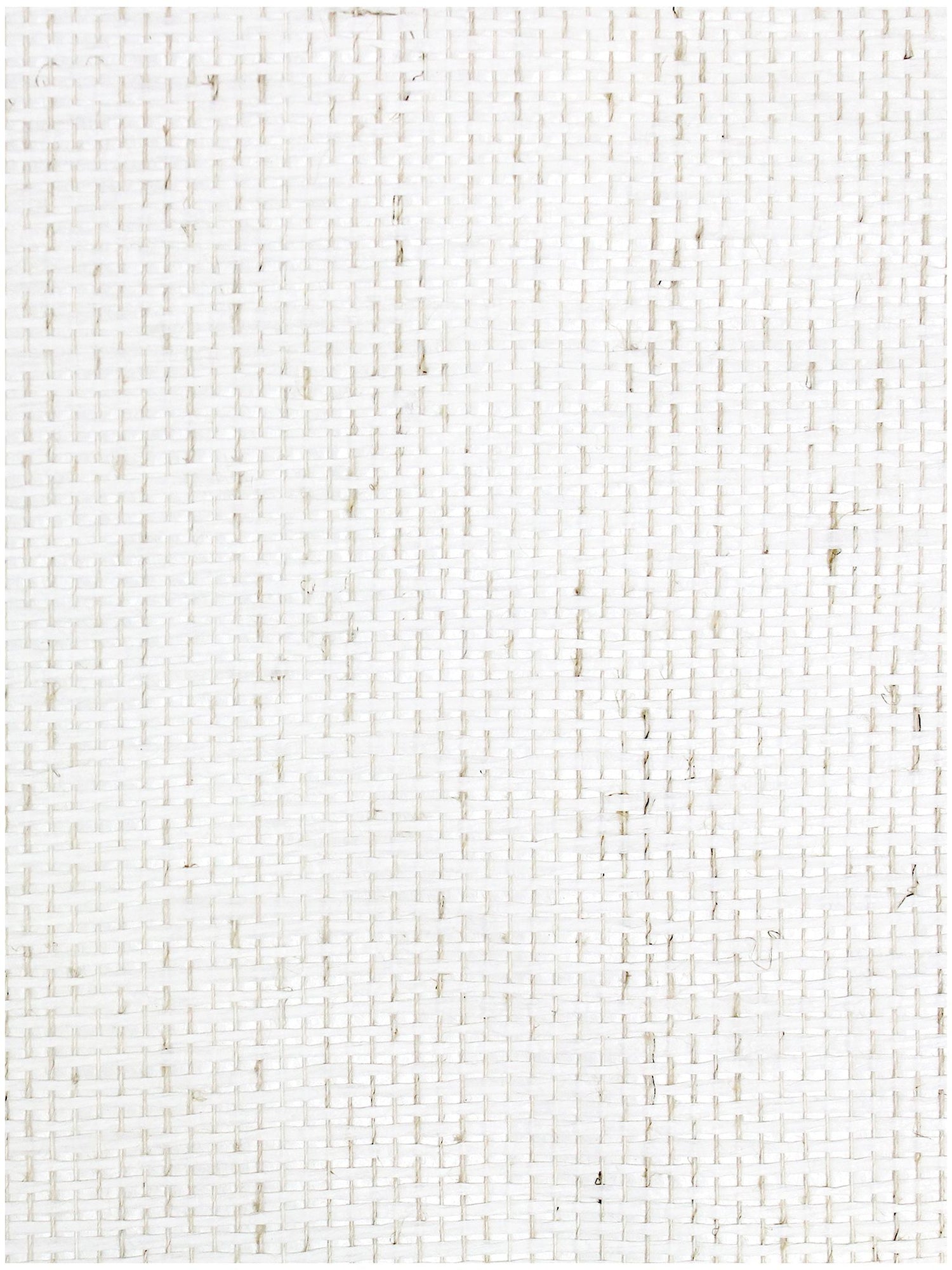 G1190 Basket Weave fabric in white color - pattern number SC 0001G1190 - by Scalamandre in the  collection