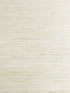 Tightweave Jute wallpaper in sand color - pattern number SC 0001G1195 - by Scalamandre in the  collection