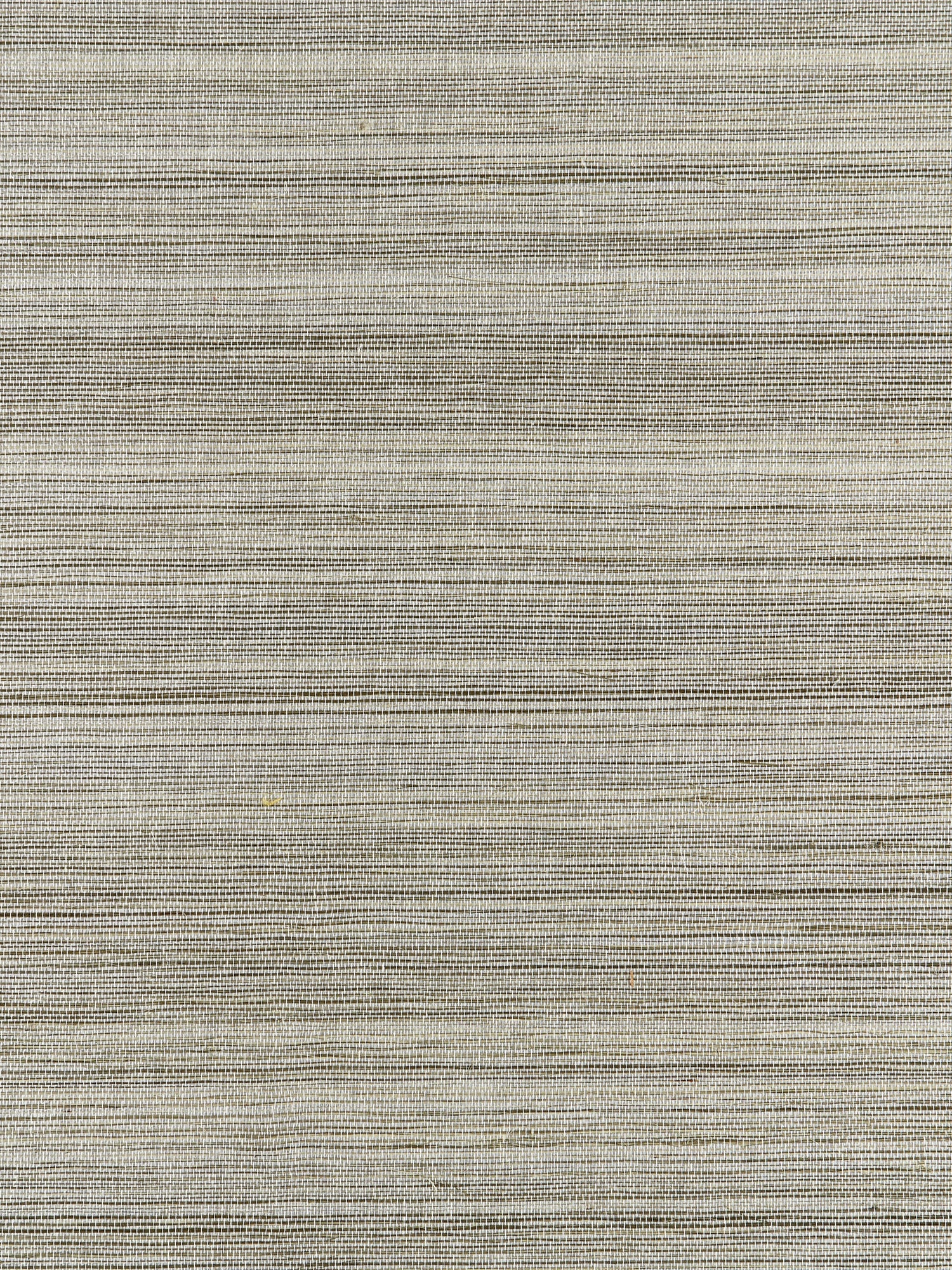 Strie Sisal wallpaper in glacier color - pattern number SC 0001WP88339 - by Scalamandre in the  collection