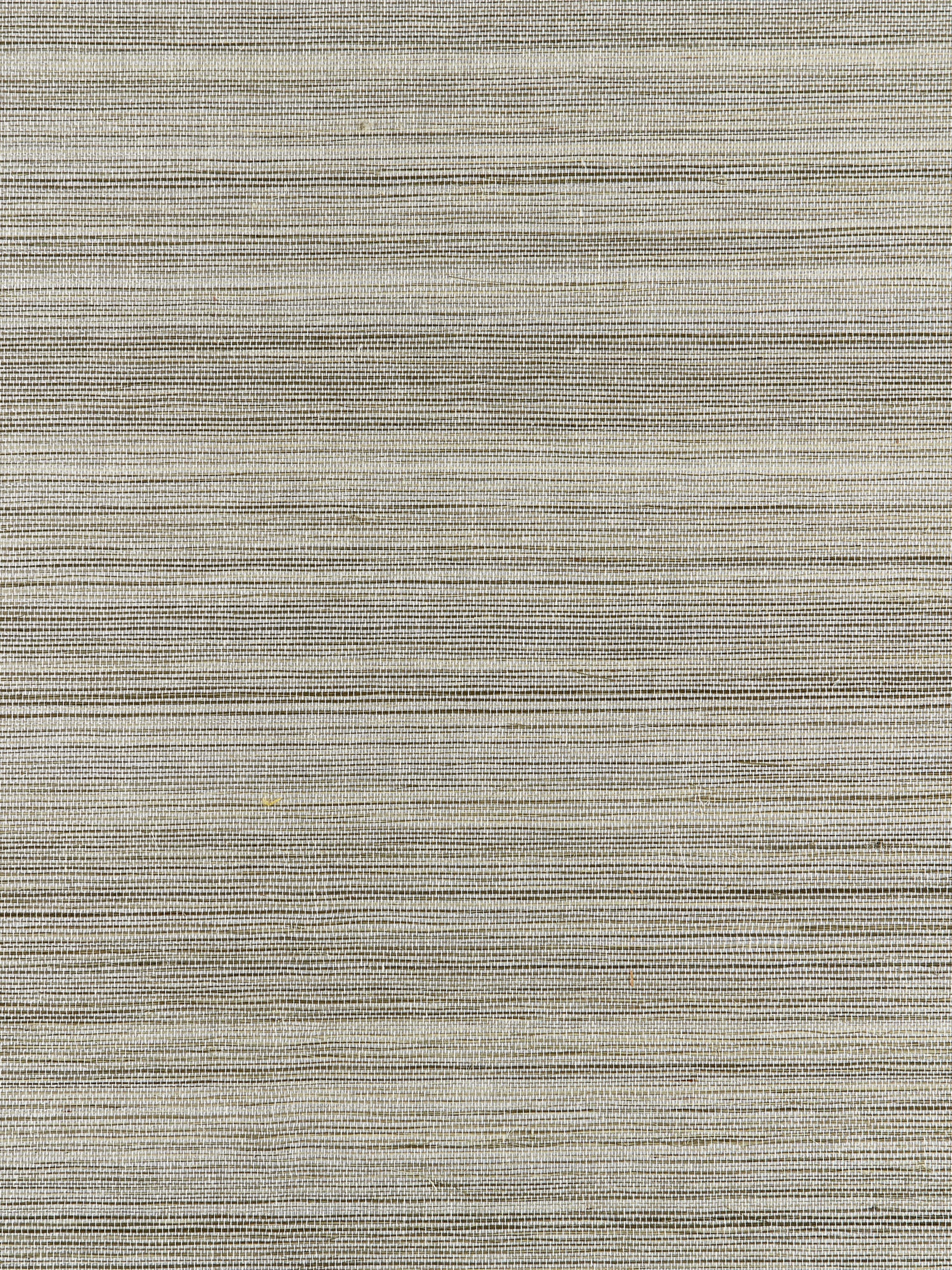 Strie Sisal wallpaper in glacier color - pattern number SC 0001WP88339 - by Scalamandre in the  collection