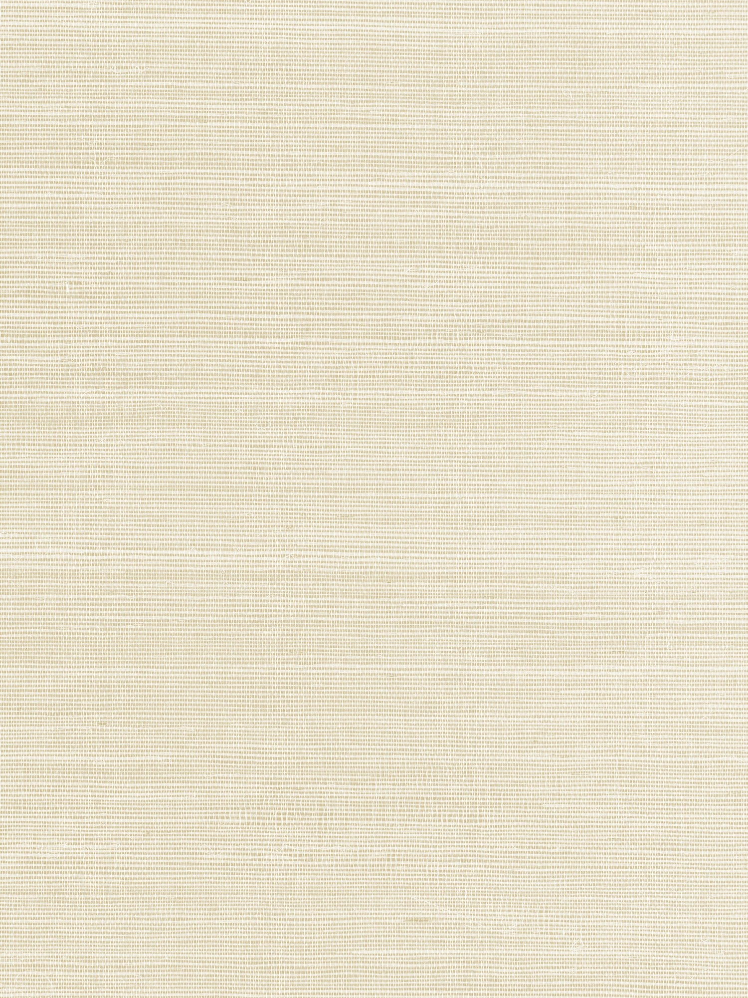 Fine Sisal wallpaper in ivory color - pattern number SC 0001WP88341 - by Scalamandre in the  collection
