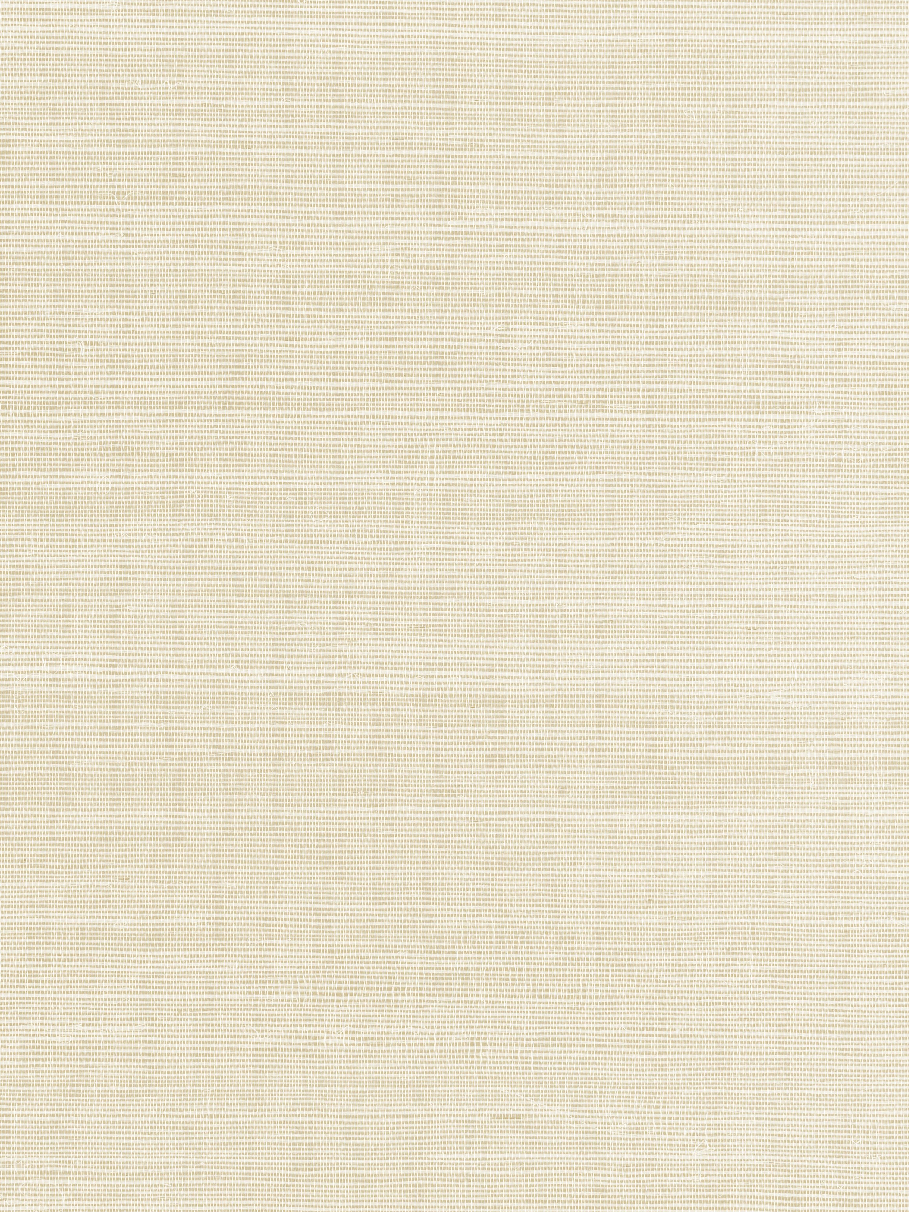 Fine Sisal wallpaper in ivory color - pattern number SC 0001WP88341 - by Scalamandre in the  collection
