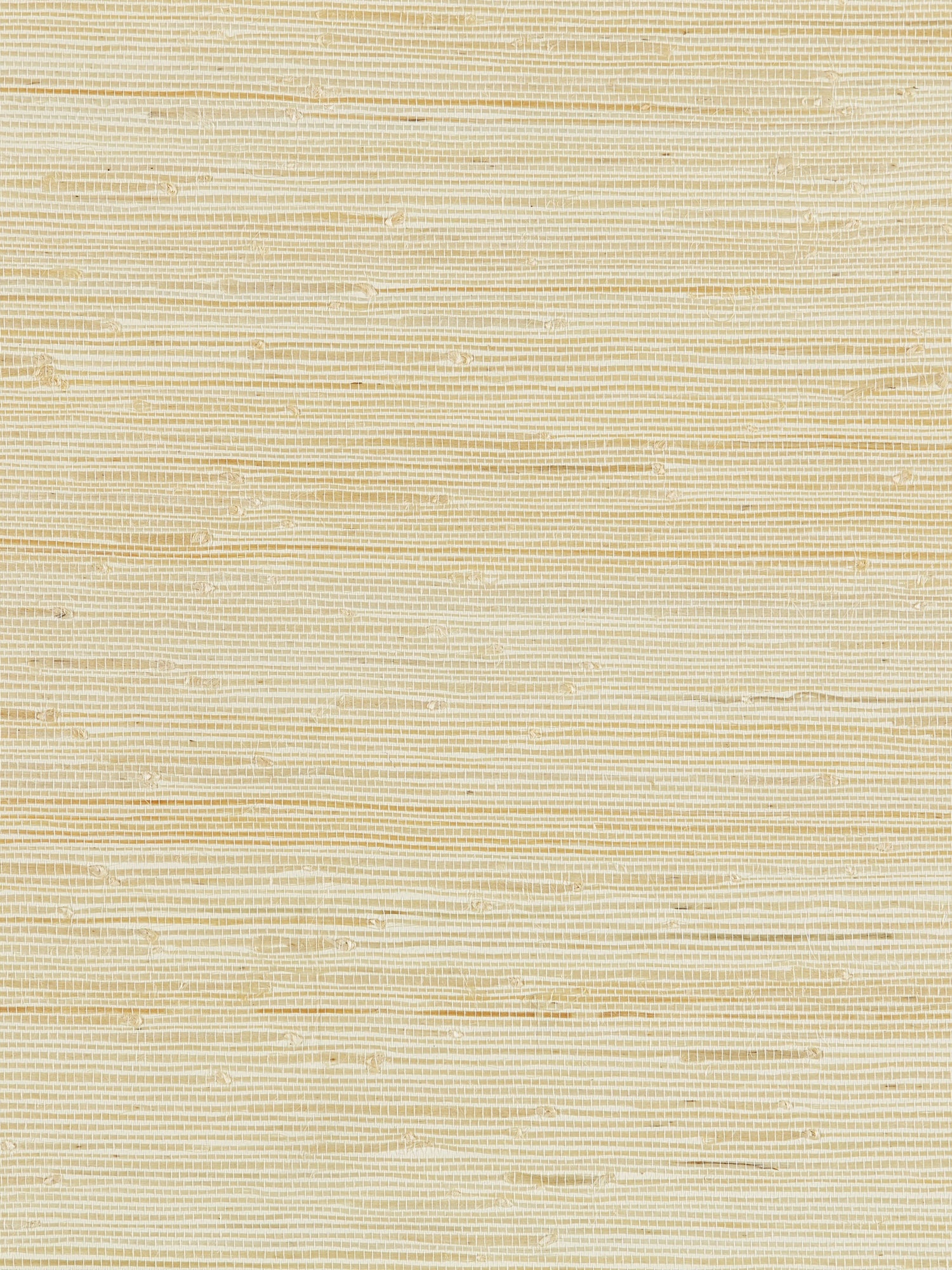 Textured Sisal wallpaper in white sand color - pattern number SC 0001WP88343 - by Scalamandre in the  collection