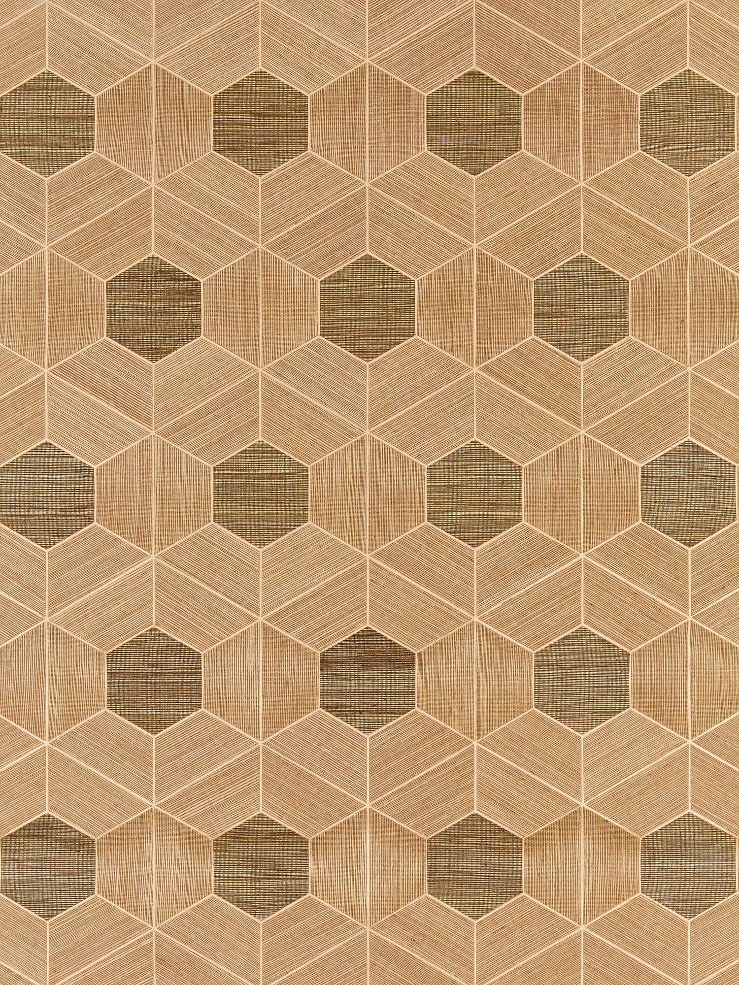 Hive Sisal wallpaper in burnished color - pattern number SC 0001WP88468 - by Scalamandre in the  collection