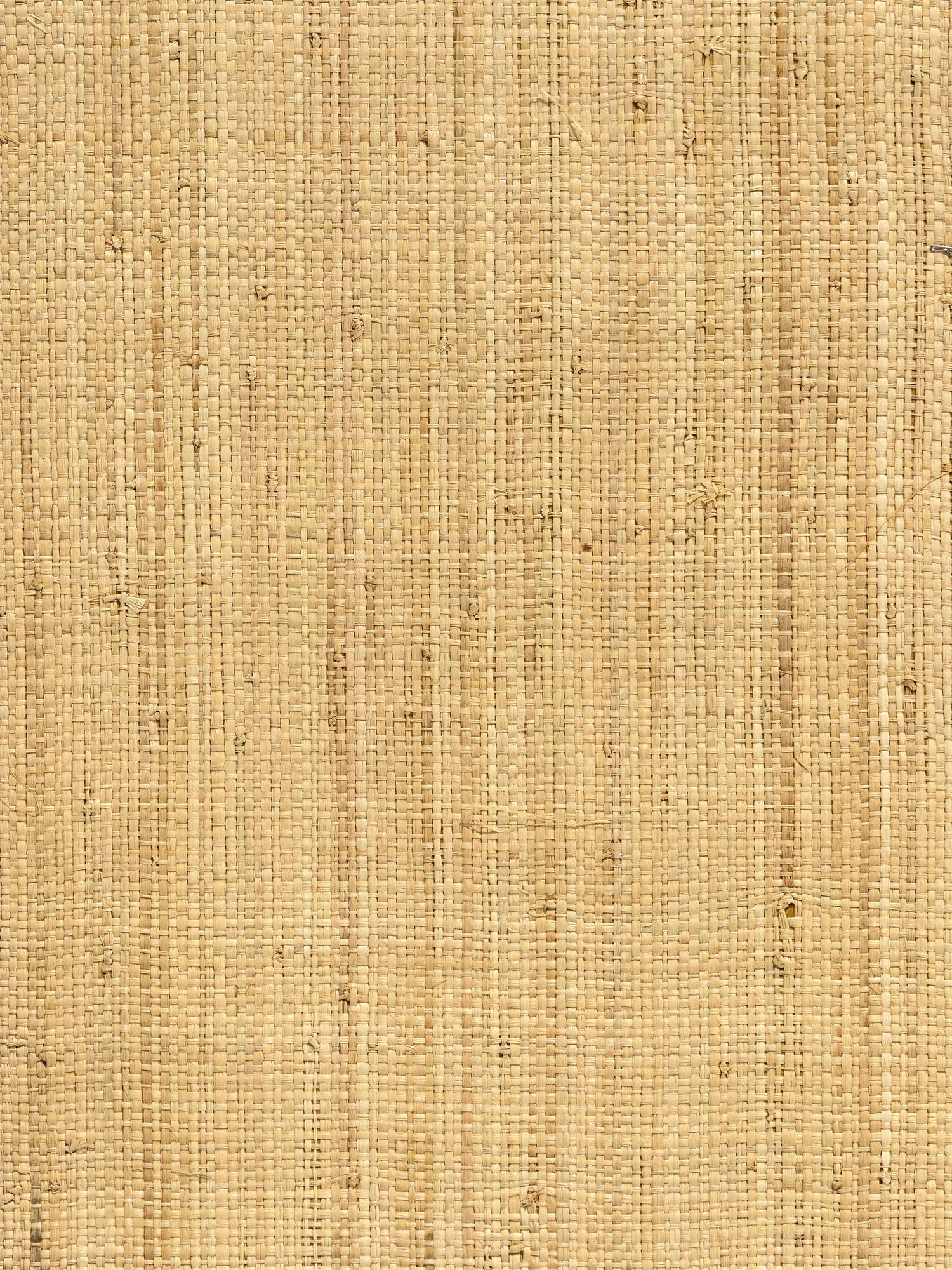 Imerina wallpaper in grasscloth cloves color - pattern number SC 0001WP88569 - by Scalamandre in the  collection