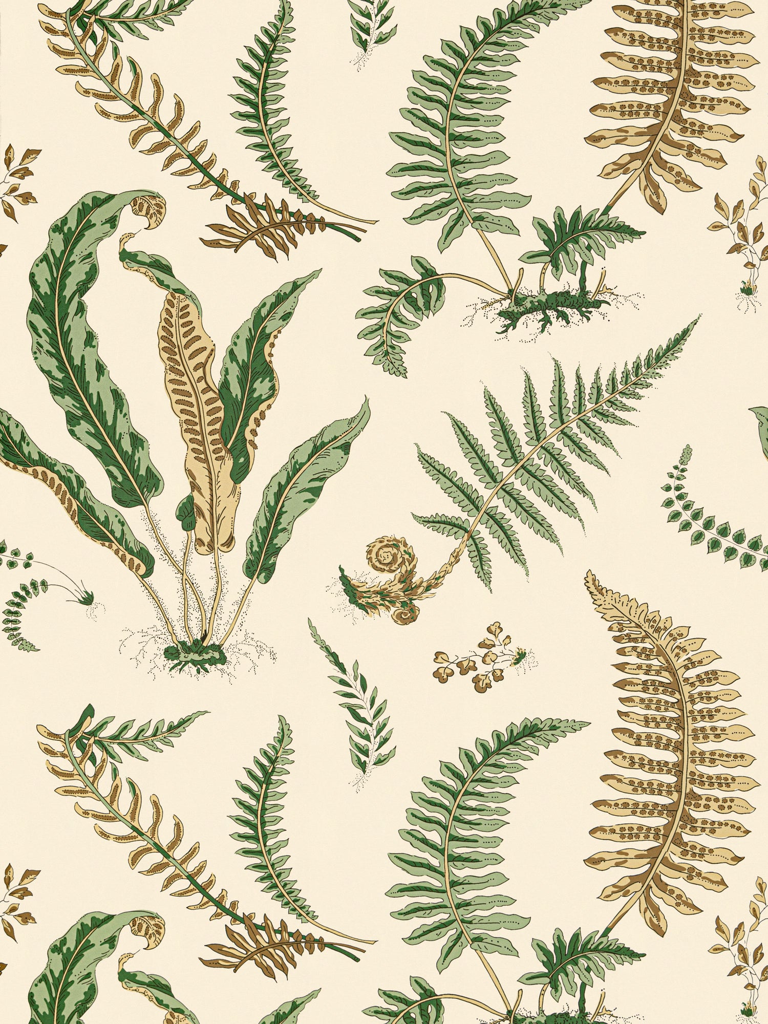 Elsie De Wolfe wallpaper in greens on off white color - pattern number SC 0001WP88592D - by Scalamandre in the  collection