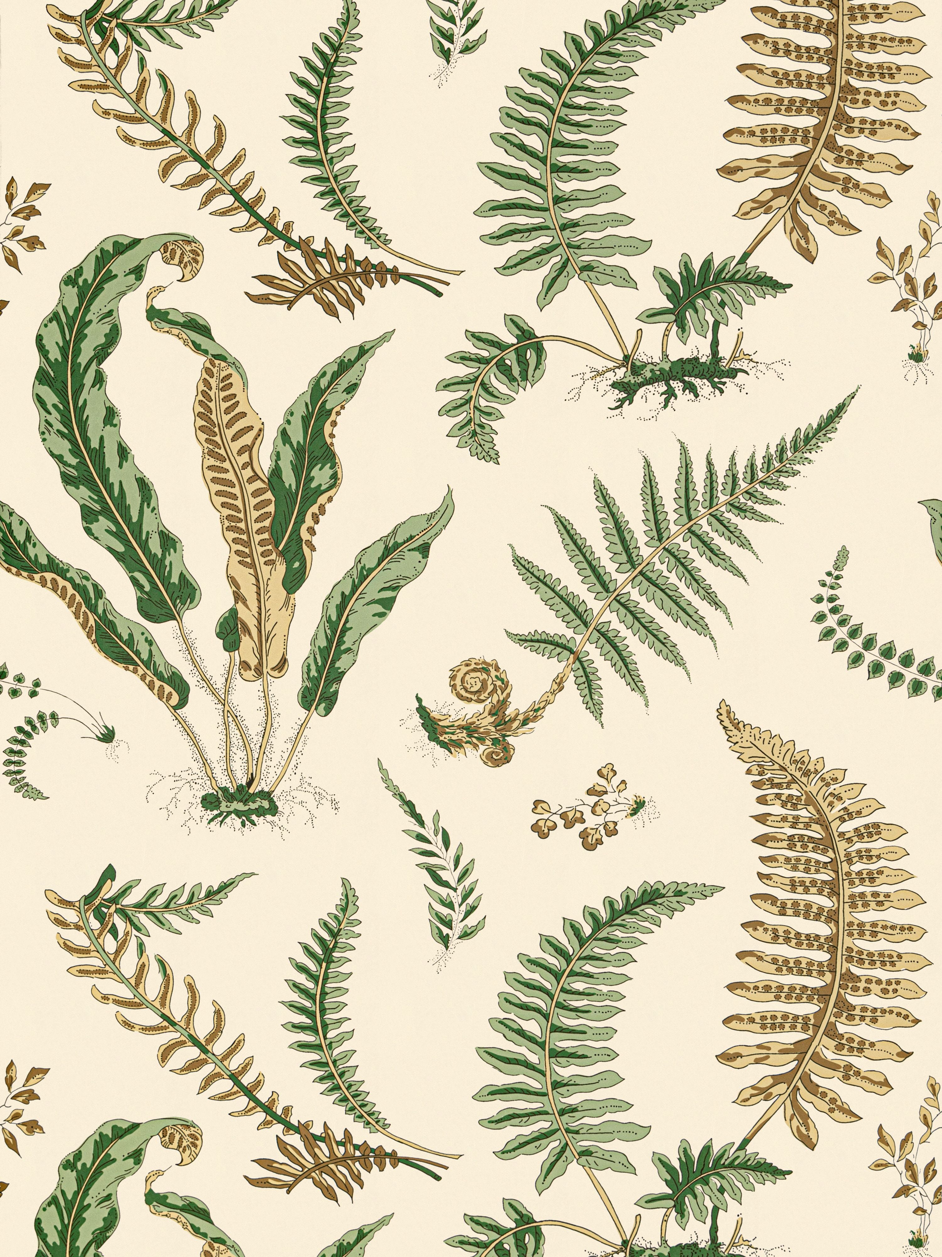 Elsie De Wolfe wallpaper in greens on off white color - pattern number SC 0001WP88592D - by Scalamandre in the  collection