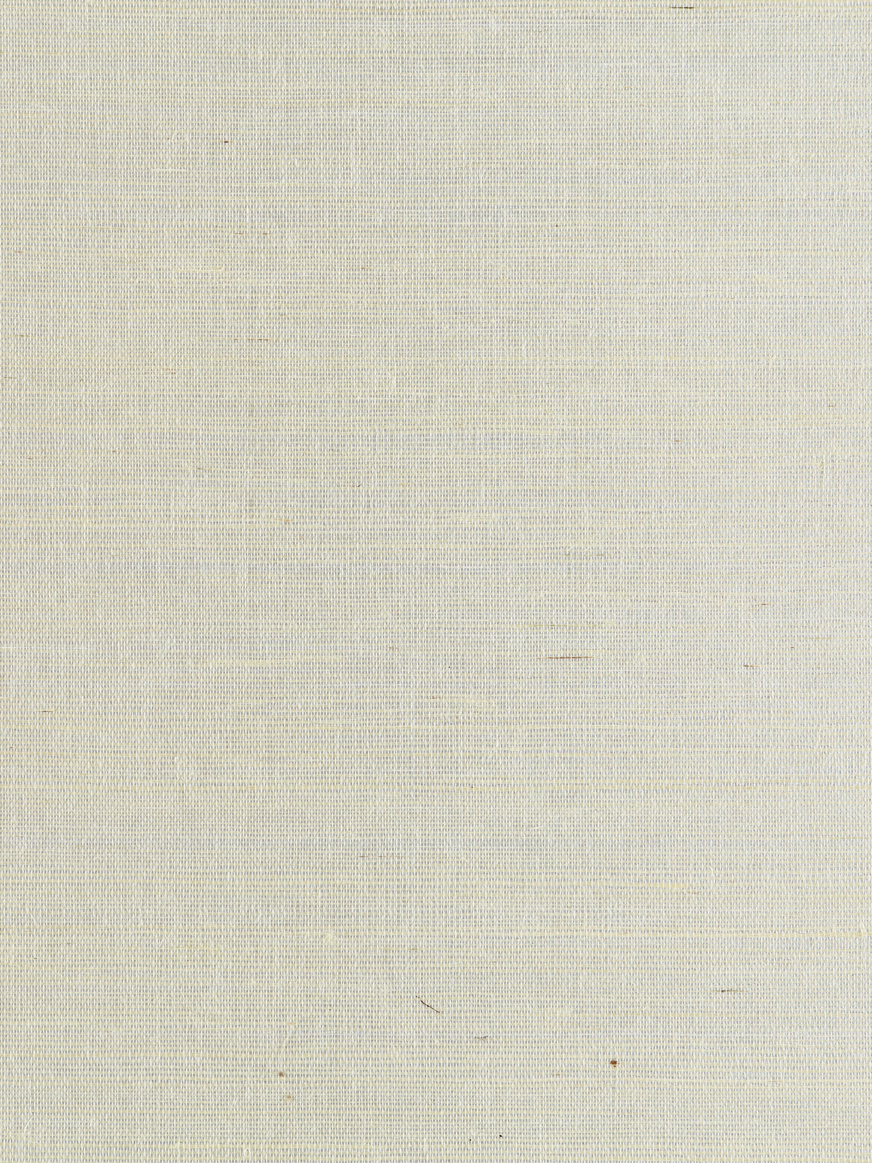 Metal Sisal wallpaper in ice color - pattern number SC 0002WP88338 - by Scalamandre in the  collection