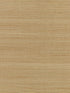 Shantung Grasscloth wallpaper in rye color - pattern number SC 0002WP88347 - by Scalamandre in the  collection