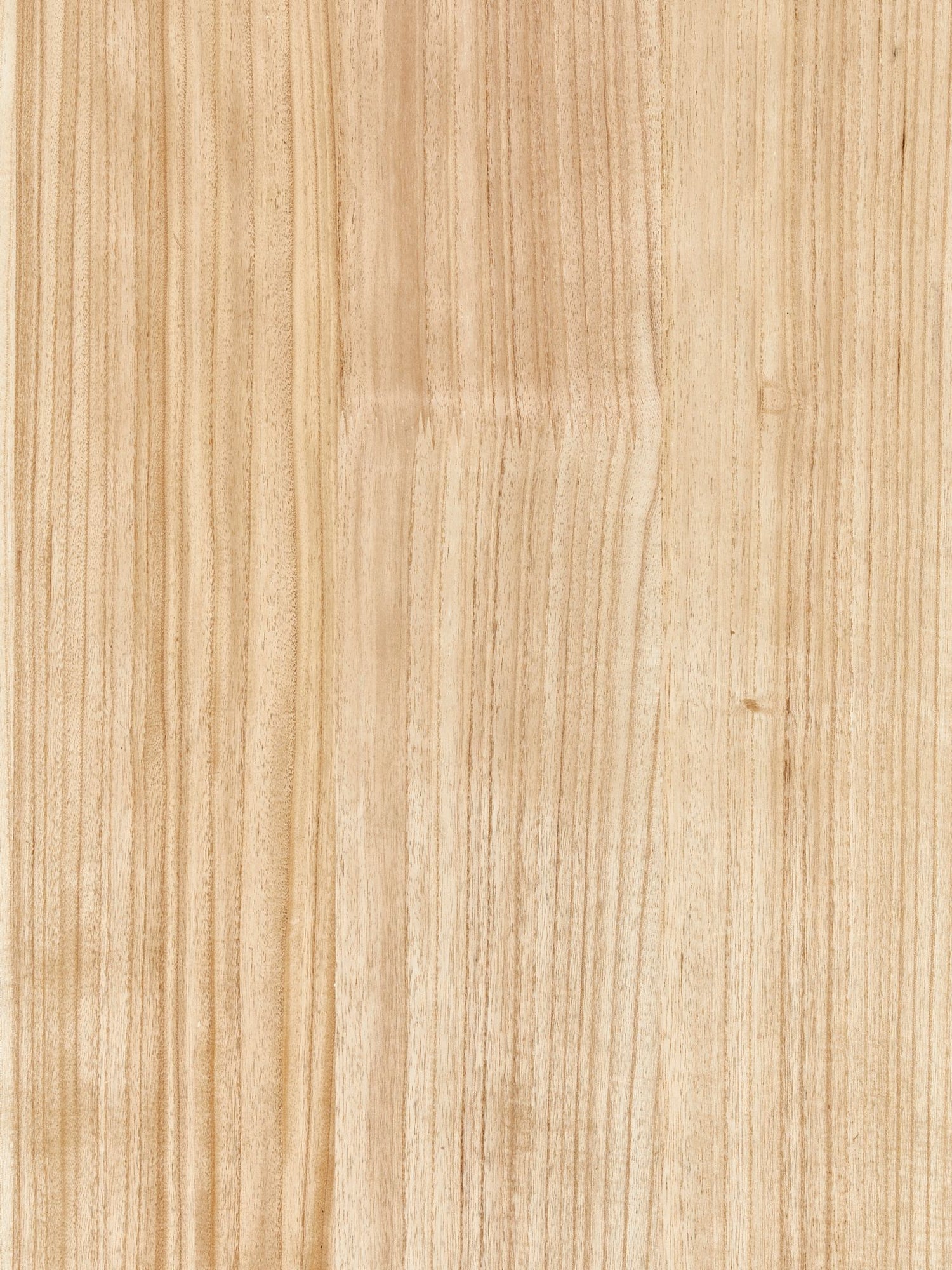 Woodgrain fabric in oak color - pattern number SC 0002WP88478 - by Scalamandre in the  collection