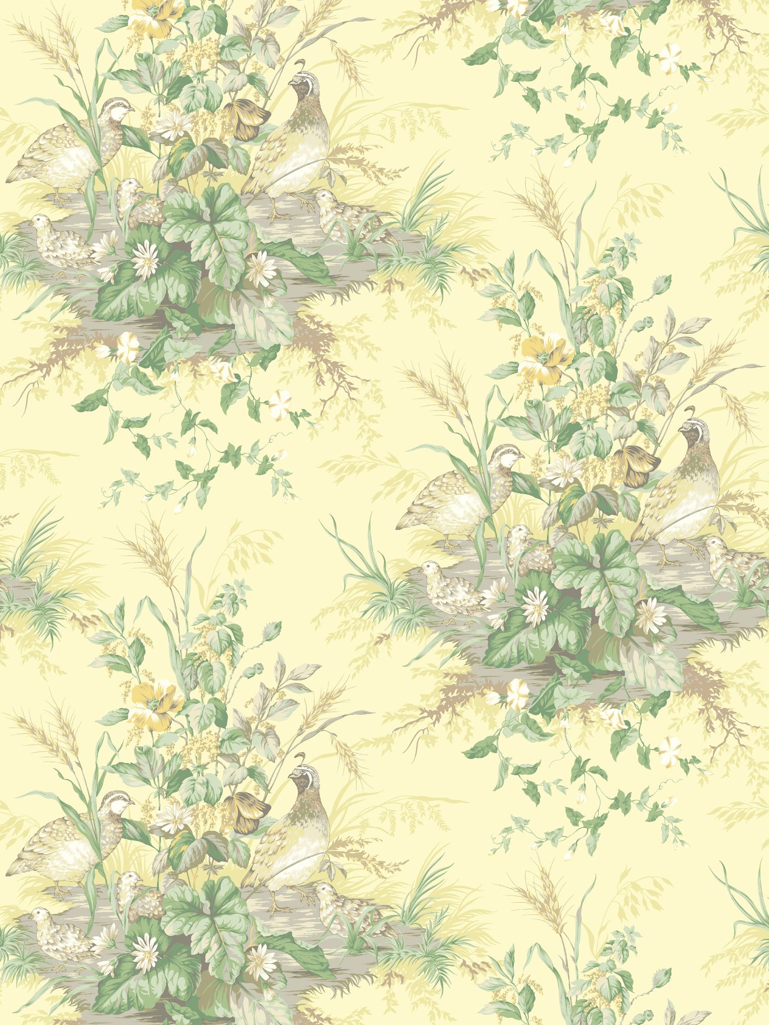 Edwins Covey wallpaper in sunlit color - pattern number SC 0003WP88434 - by Scalamandre in the  collection