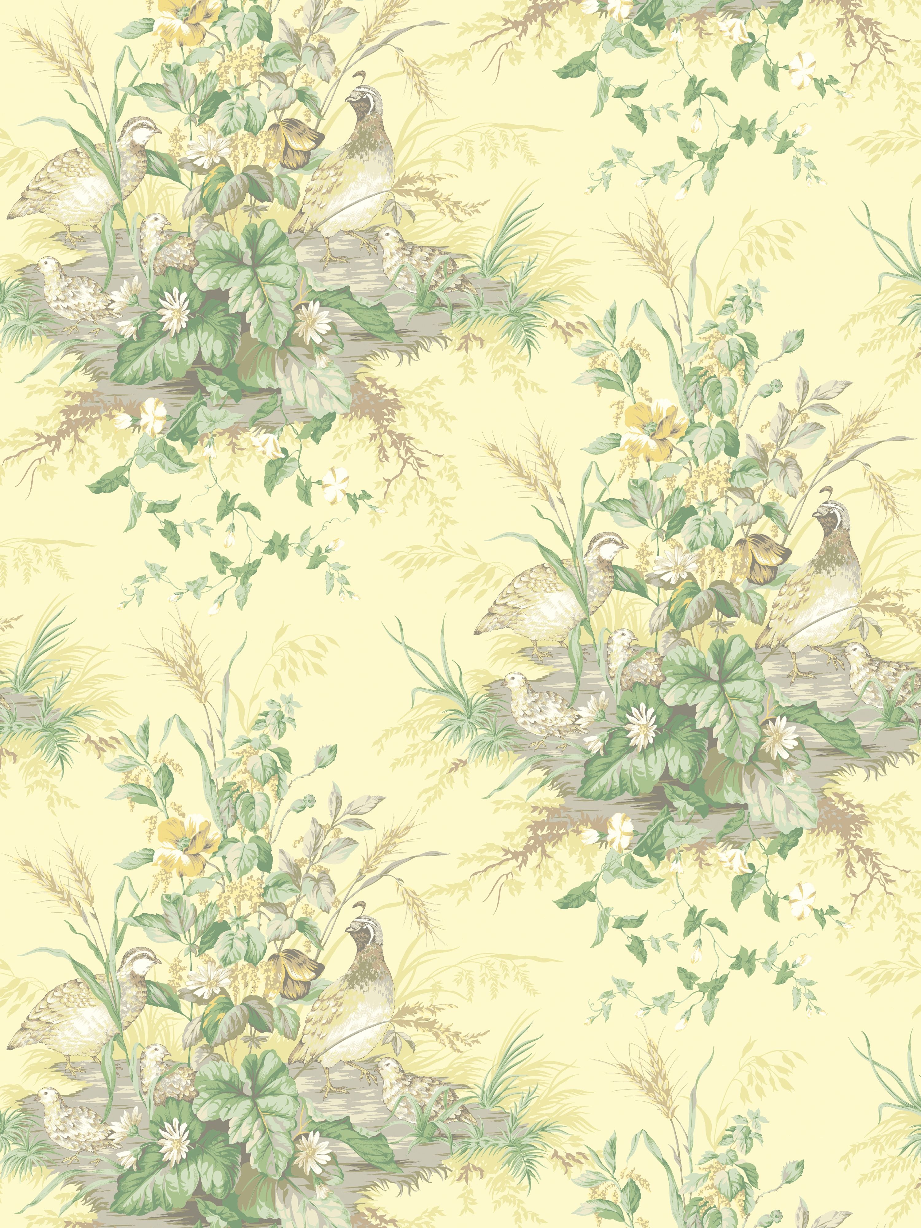 Edwins Covey wallpaper in sunlit color - pattern number SC 0003WP88434 - by Scalamandre in the  collection