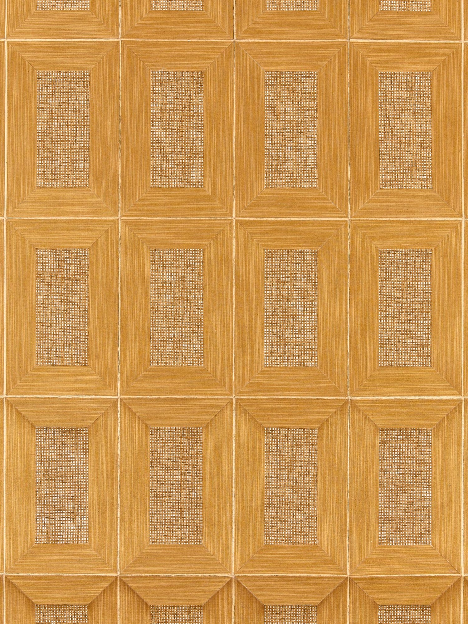 Libro Woven fabric in golden color - pattern number SC 0003WP88474 - by Scalamandre in the  collection