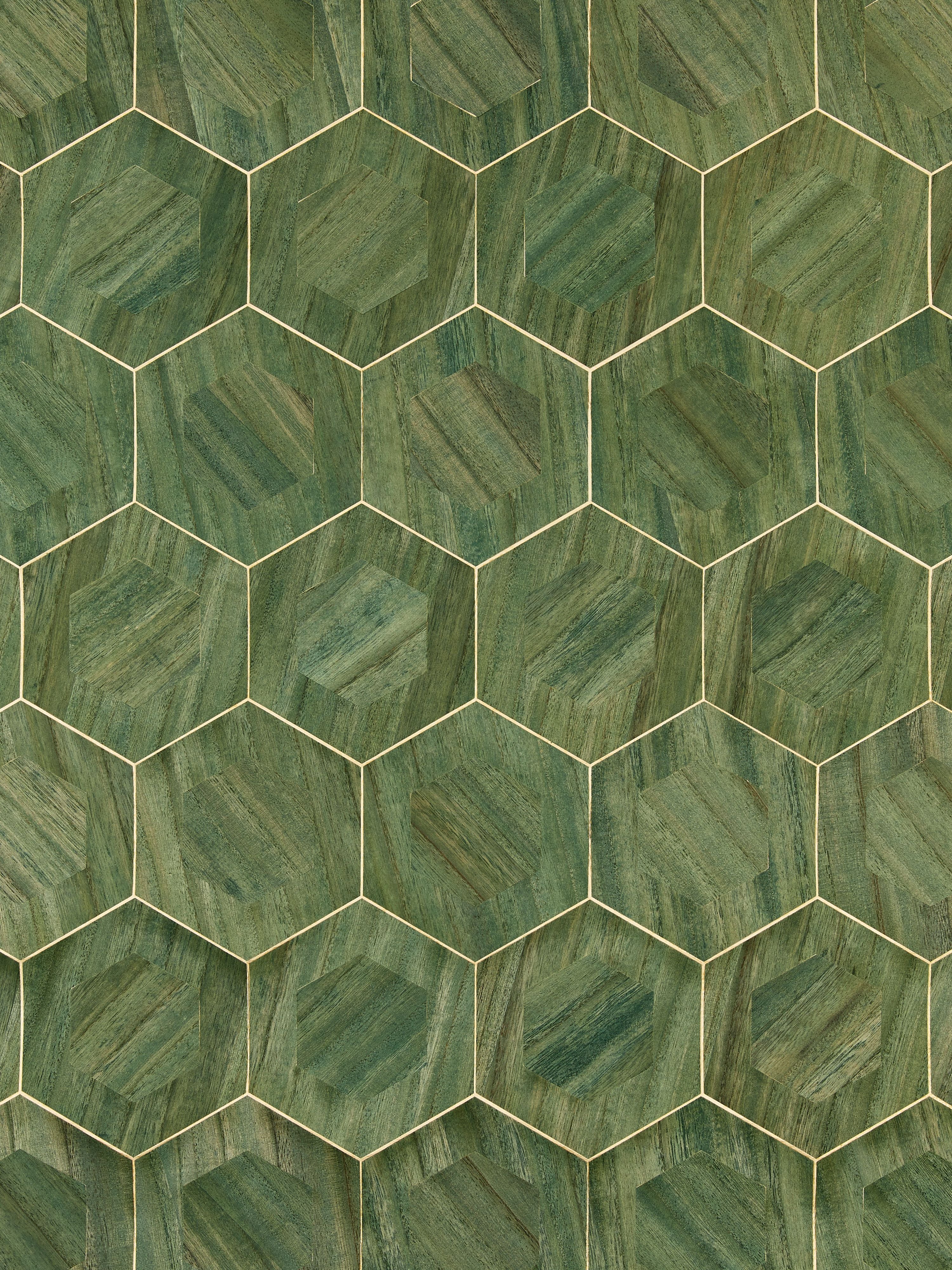 Hexad wallpaper in verdant color - pattern number SC 0003WP88476 - by Scalamandre in the  collection