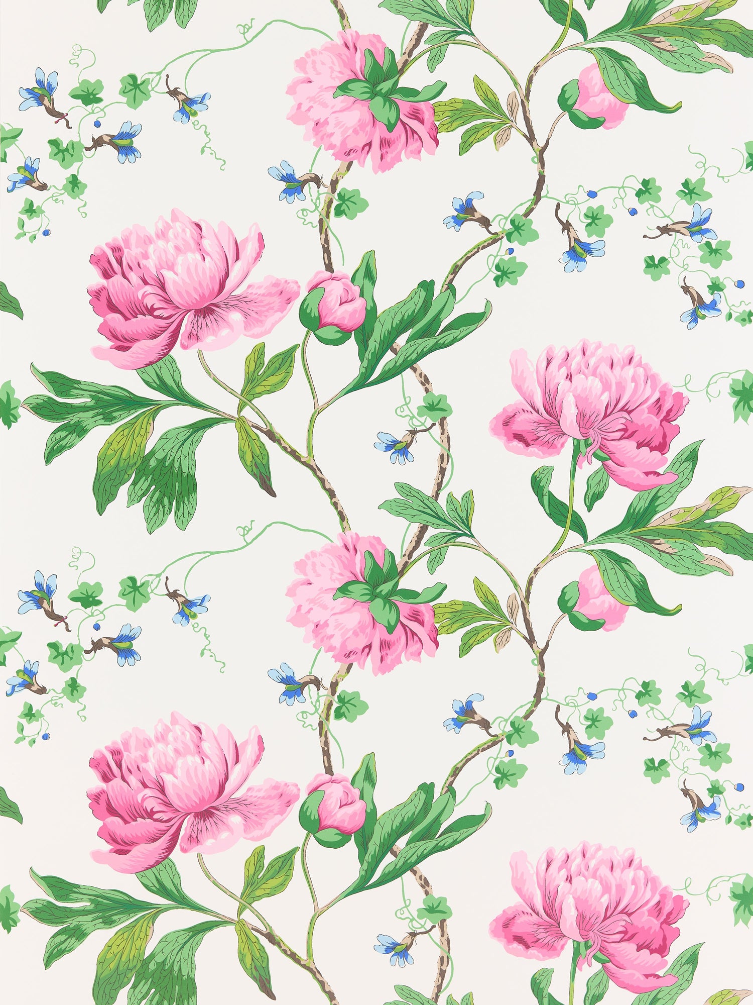 Isadora wallpaper in petal color - pattern number SC 0003WP88562 - by Scalamandre in the  collection