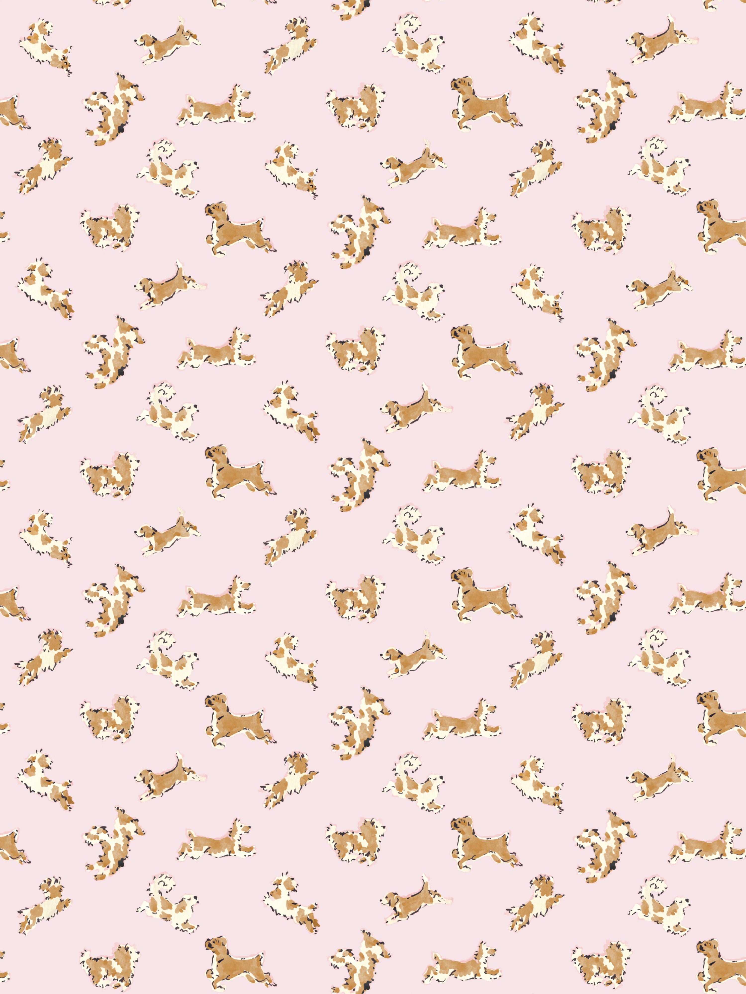 Fete De Chien wallpaper in ballerina pink and honey color - pattern number SC WP88183D0004 - by Scalamandre in the  collection
