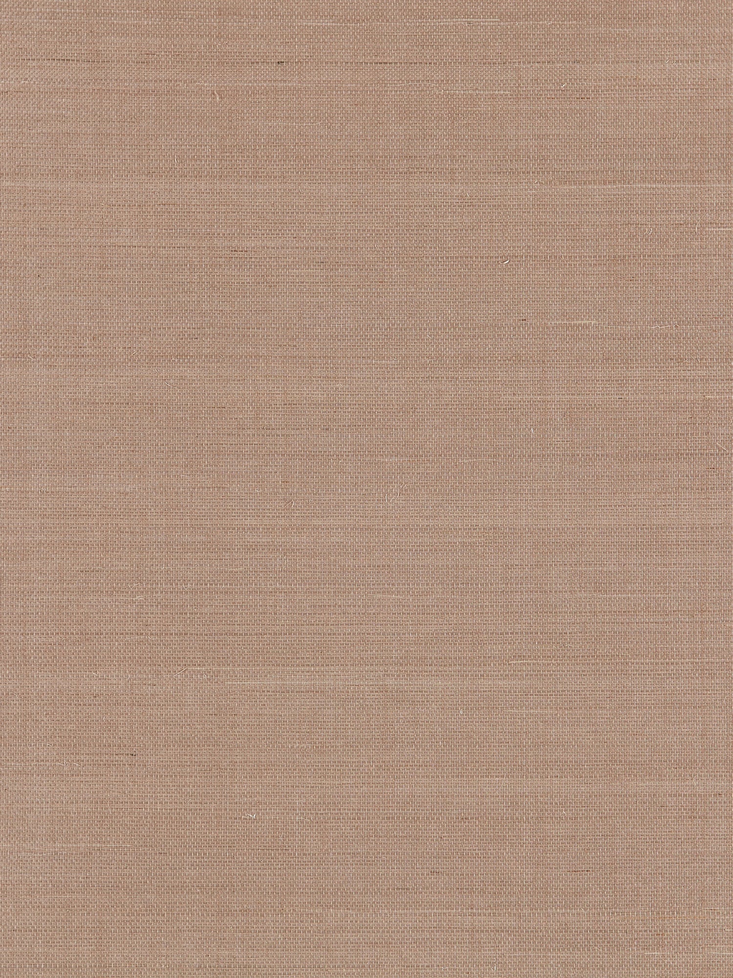 Fine Sisal wallpaper in fawn color - pattern number SC 0004WP88341 - by Scalamandre in the  collection
