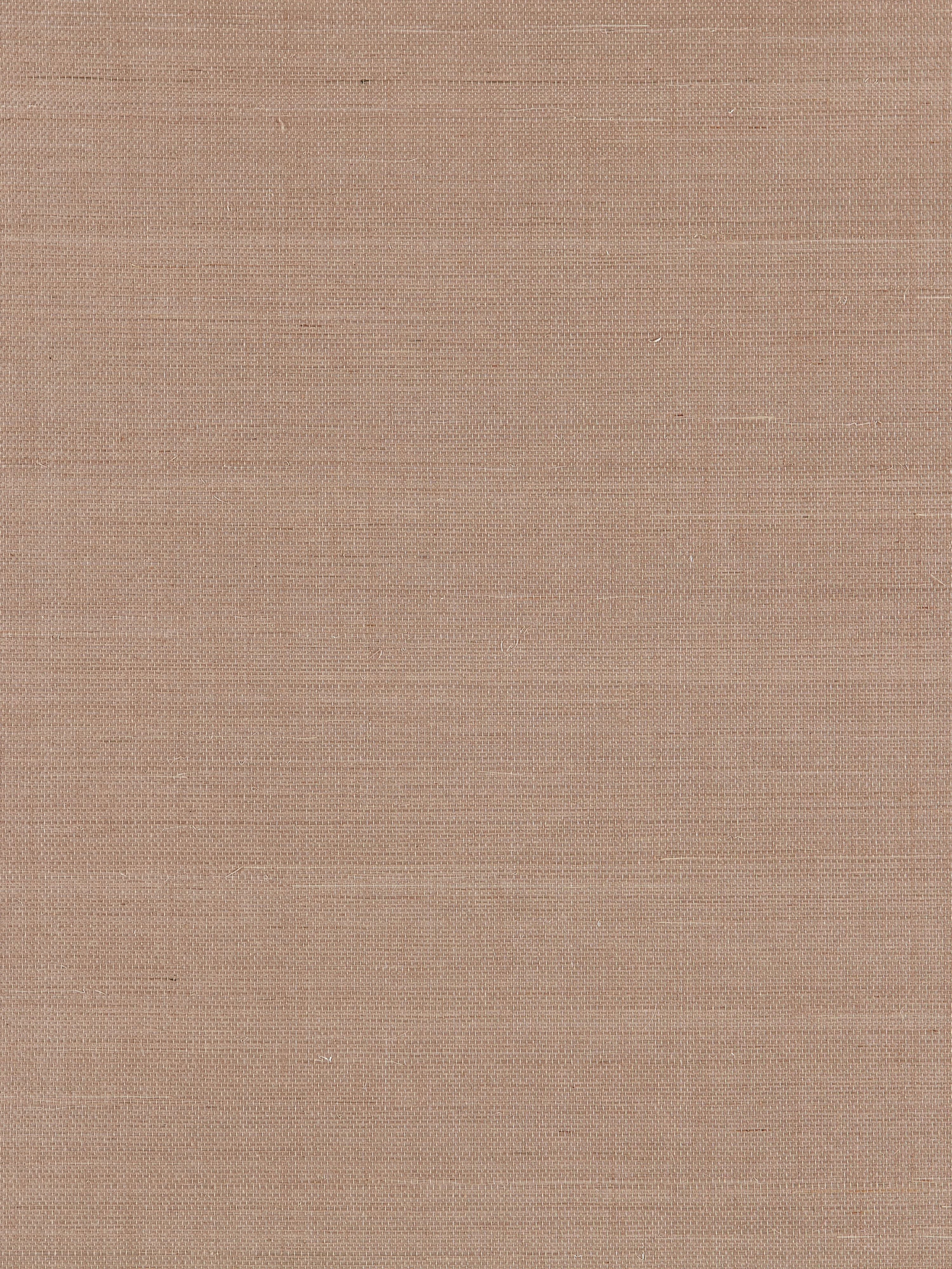 Fine Sisal wallpaper in fawn color - pattern number SC 0004WP88341 - by Scalamandre in the  collection