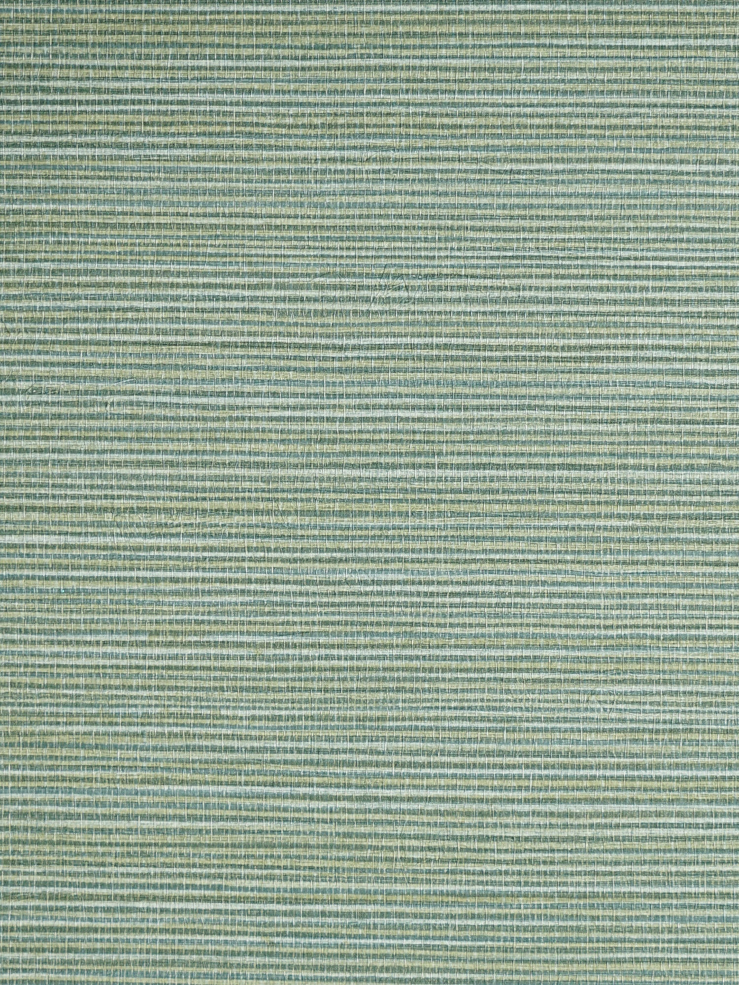 Savanna Seedling wallpaper in frond color - pattern number SC 0004WP88442 - by Scalamandre in the  collection