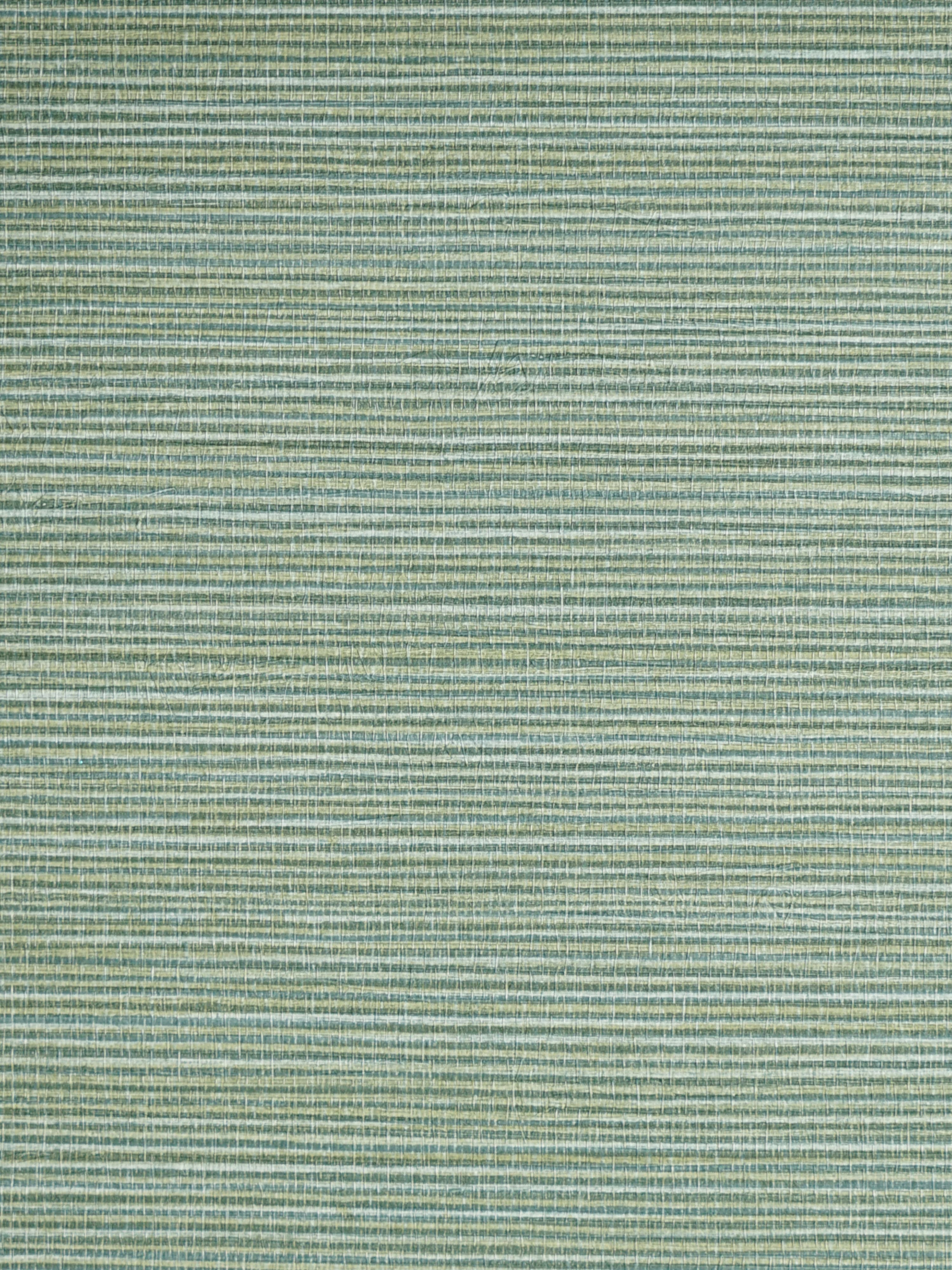 Savanna Seedling wallpaper in frond color - pattern number SC 0004WP88442 - by Scalamandre in the  collection