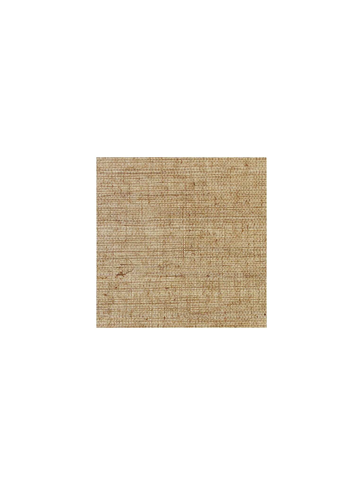 Sisal fabric in sequoia color - pattern number SC 0005G1193 - by Scalamandre in the  collection