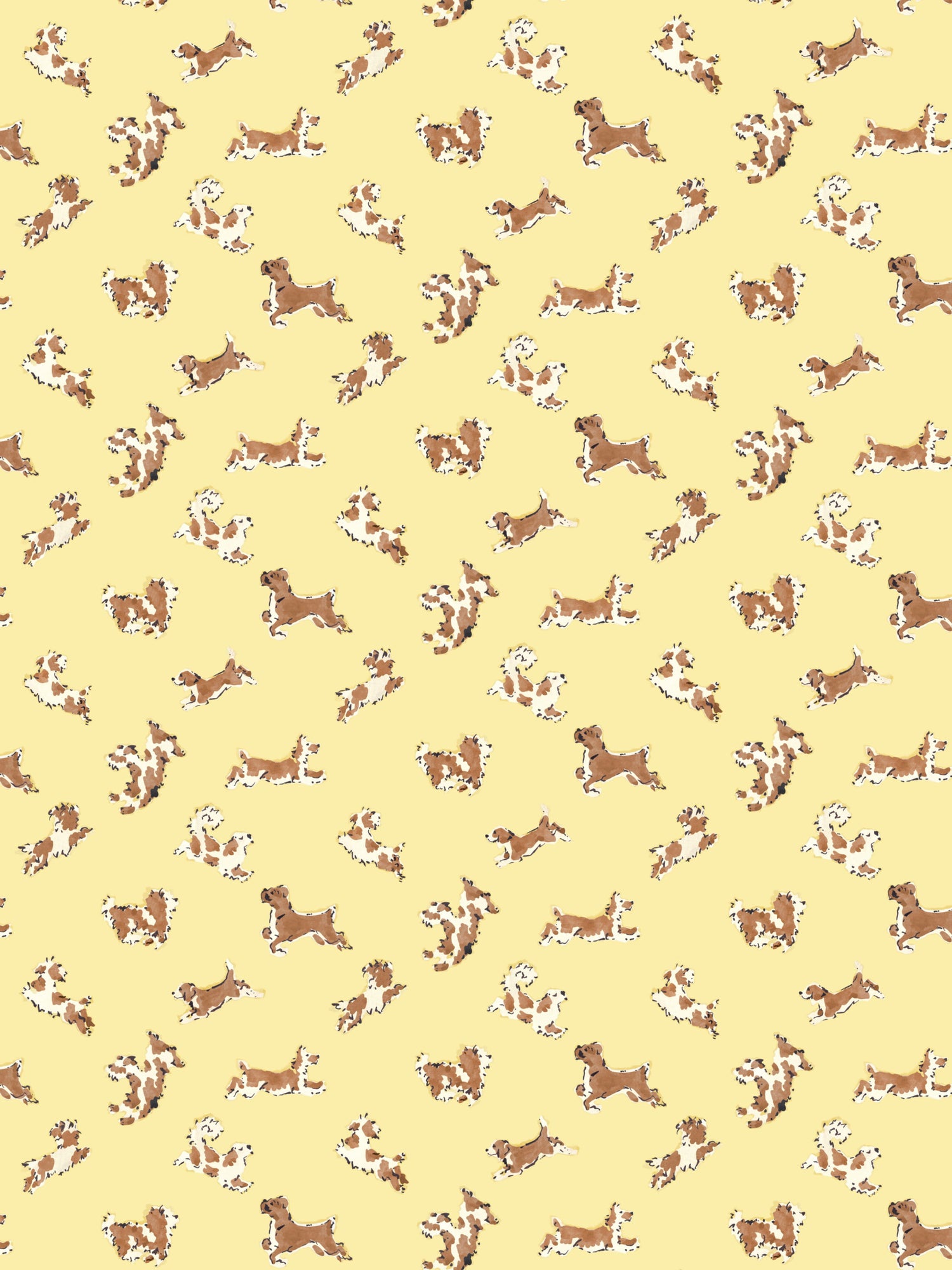 Fete De Chien wallpaper in lemon and siena color - pattern number SC WP88183D0005 - by Scalamandre in the  collection