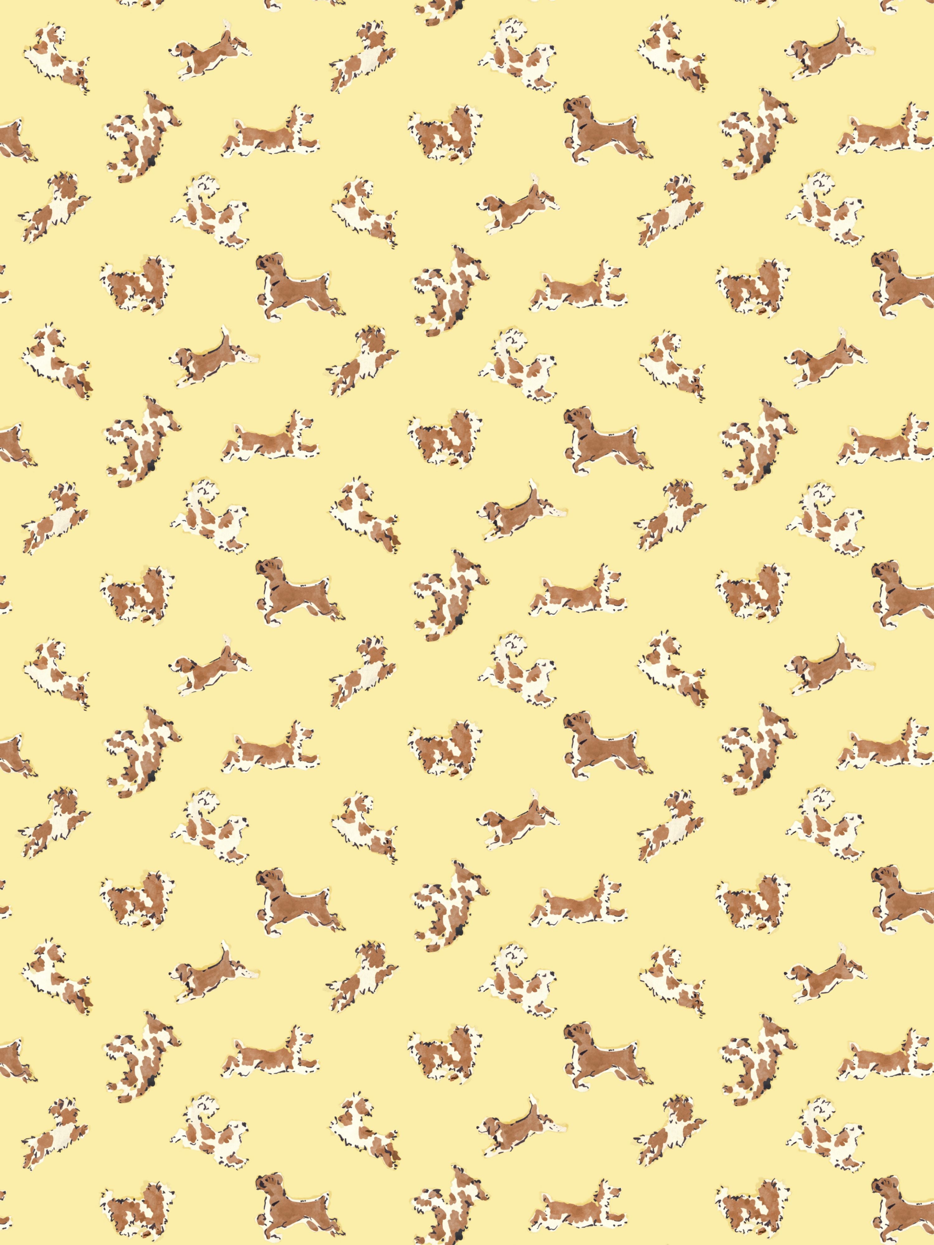 Fete De Chien wallpaper in lemon and siena color - pattern number SC WP88183D0005 - by Scalamandre in the  collection