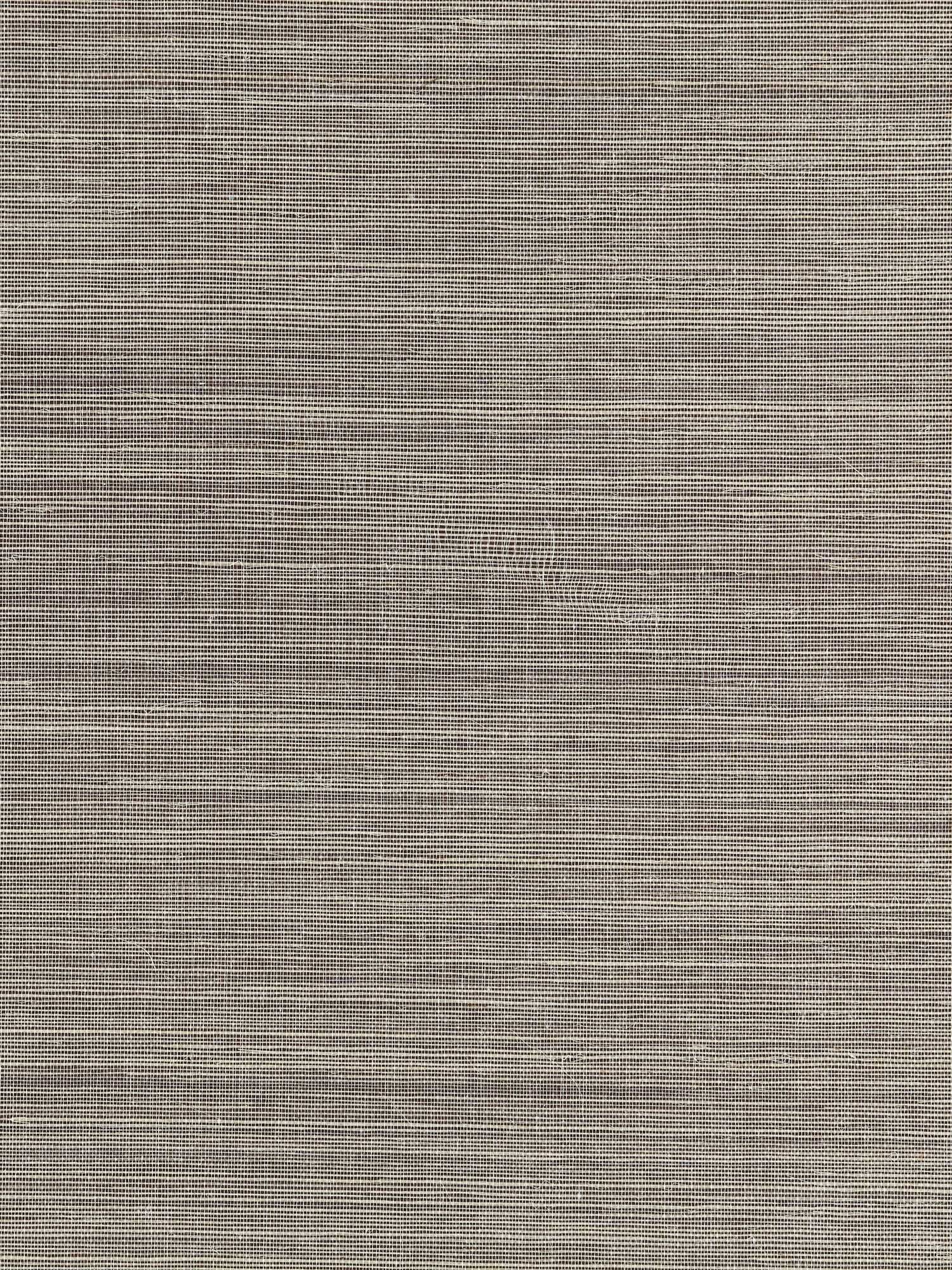 Fine Sisal wallpaper in safari color - pattern number SC 0006WP88341 - by Scalamandre in the  collection