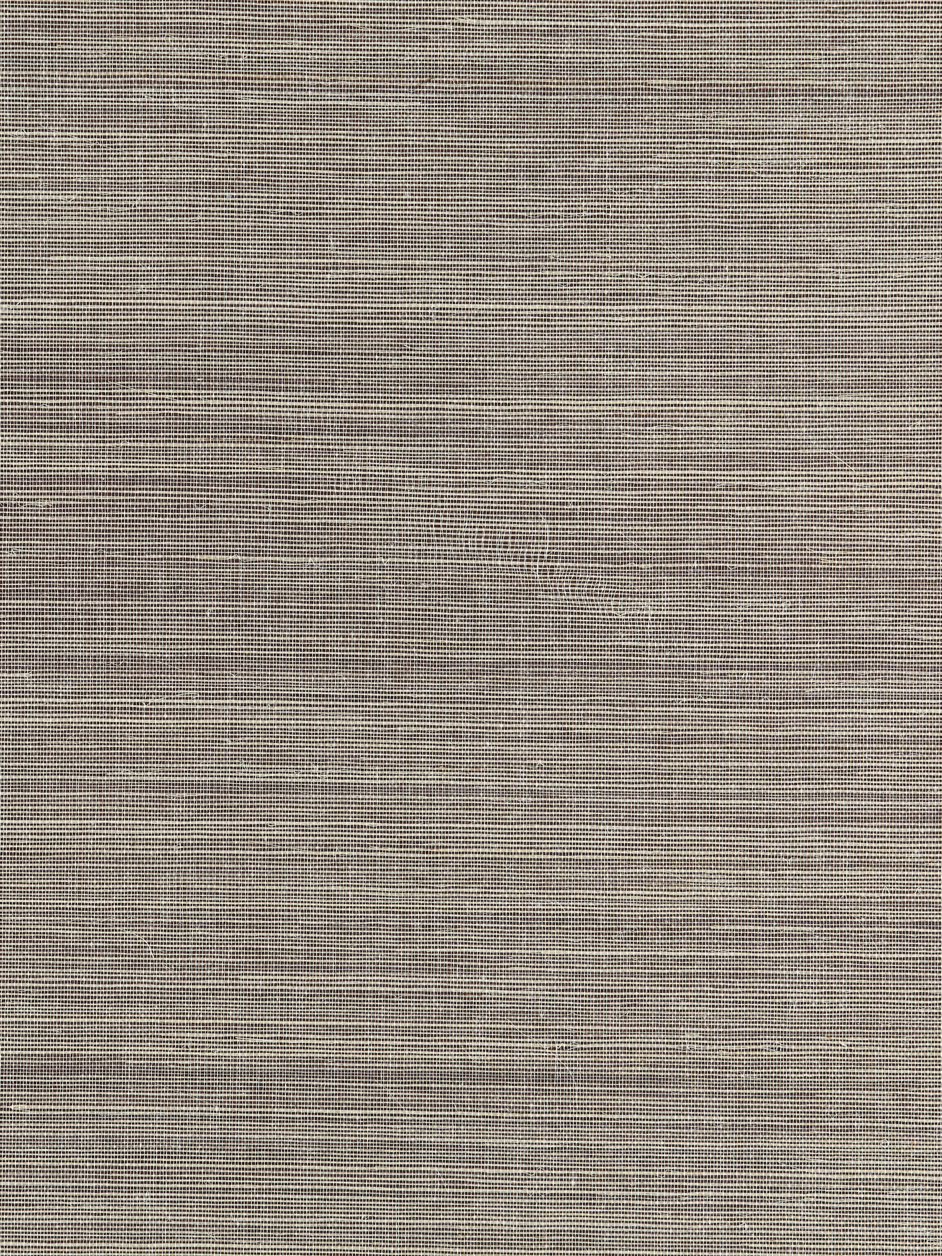 Fine Sisal wallpaper in safari color - pattern number SC 0006WP88341 - by Scalamandre in the  collection