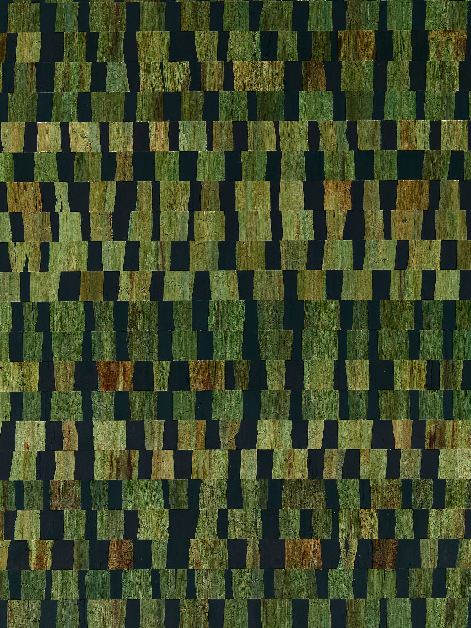 Capriccio wallpaper in moss color - pattern number SC 0006WP88481 - by Scalamandre in the  collection