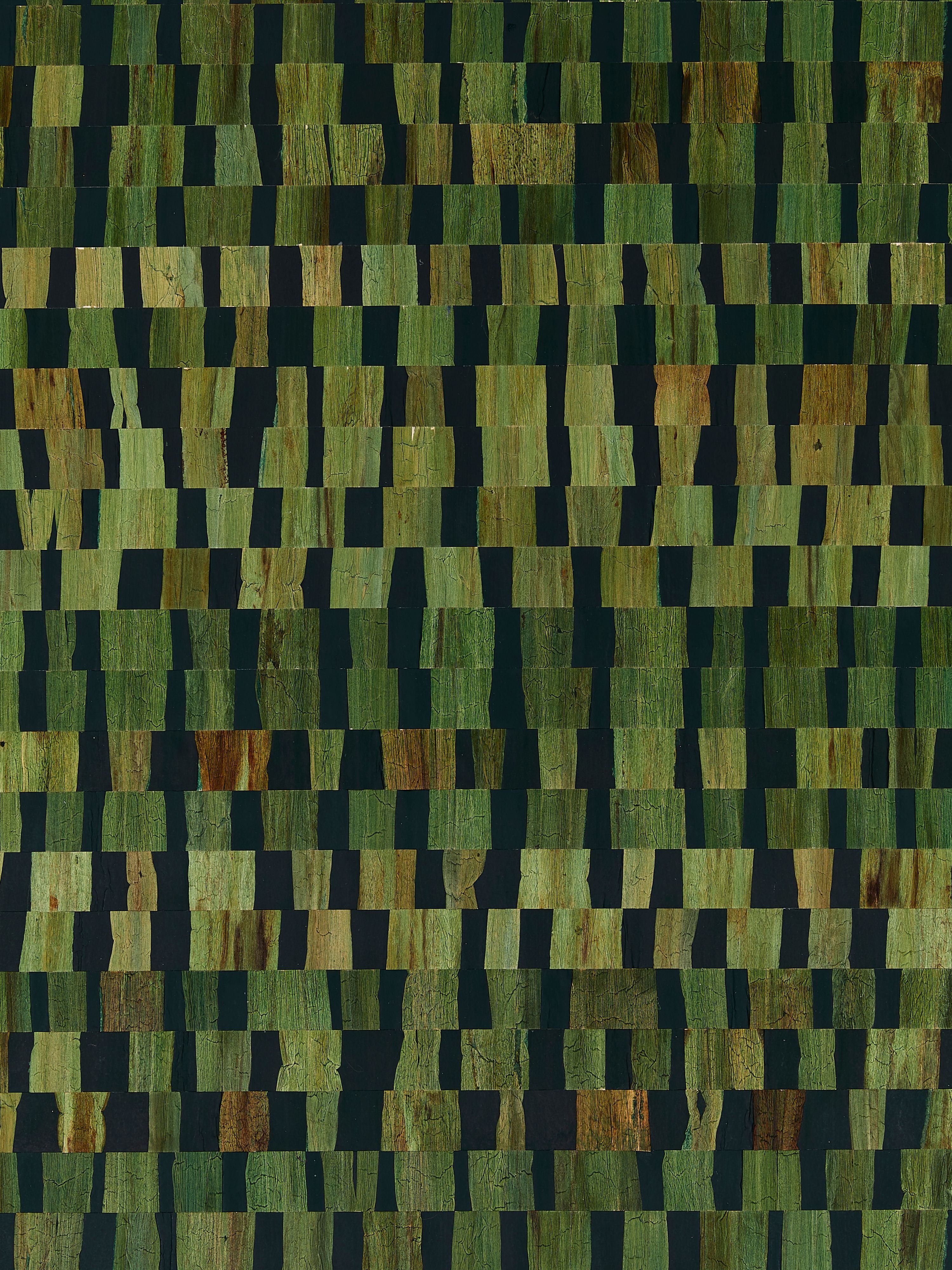 Capriccio wallpaper in moss color - pattern number SC 0006WP88481 - by Scalamandre in the  collection