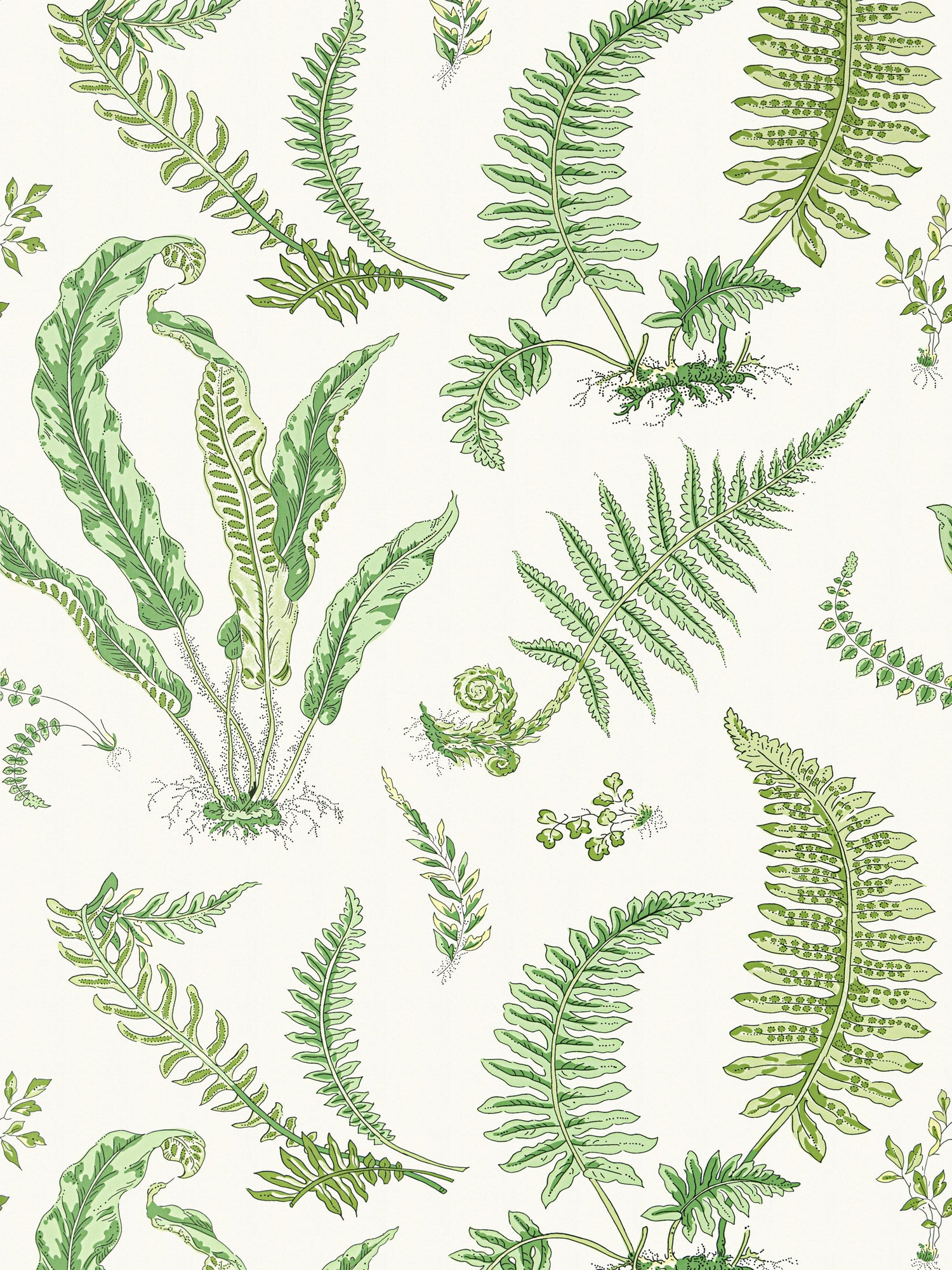 Elsie De Wolfe wallpaper in fern color - pattern number SC 0006WP88592D - by Scalamandre in the  collection