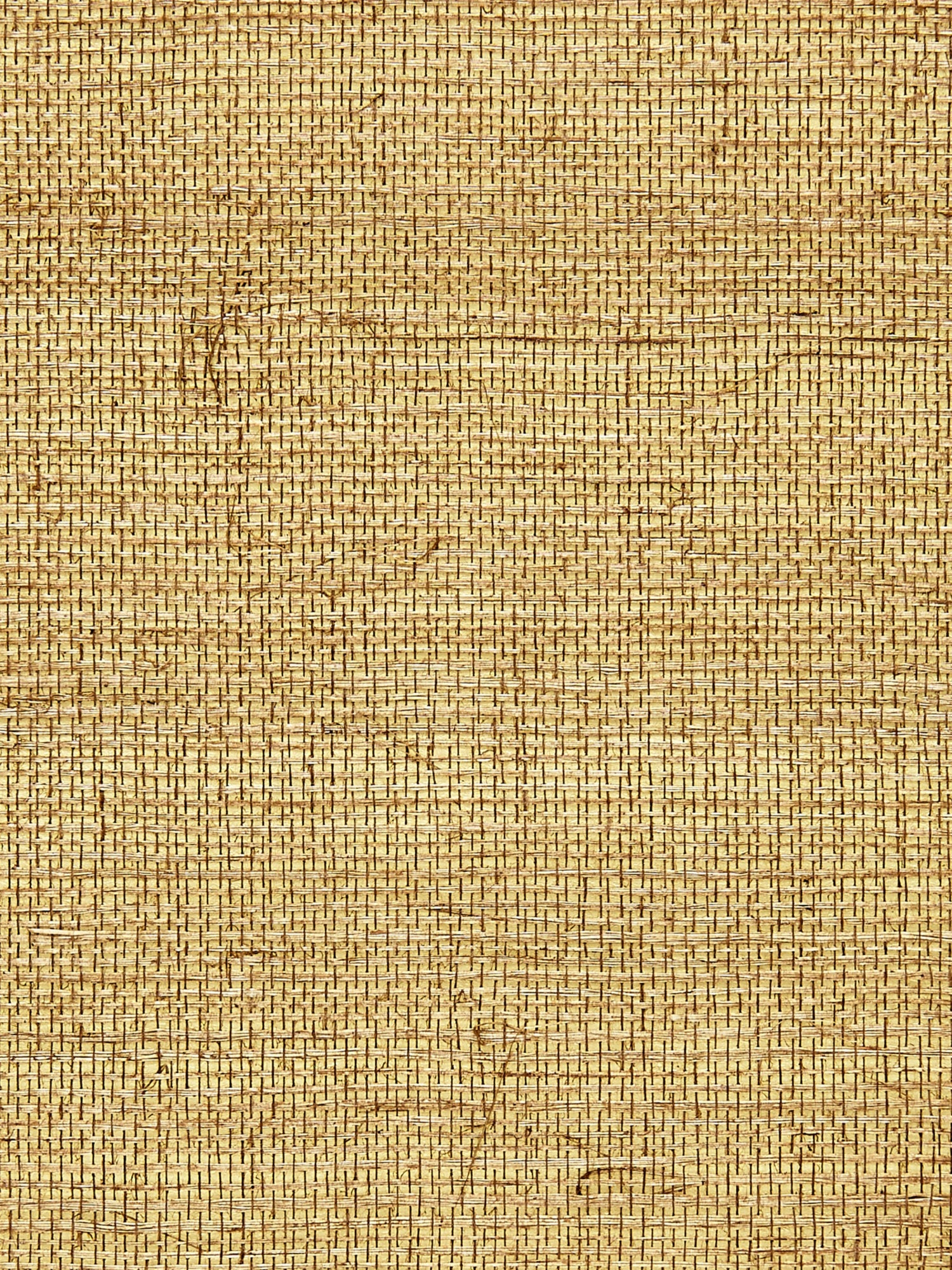 Sisal Metallic wallpaper in burnished gold color - pattern number SC 0007G1194 - by Scalamandre in the  collection