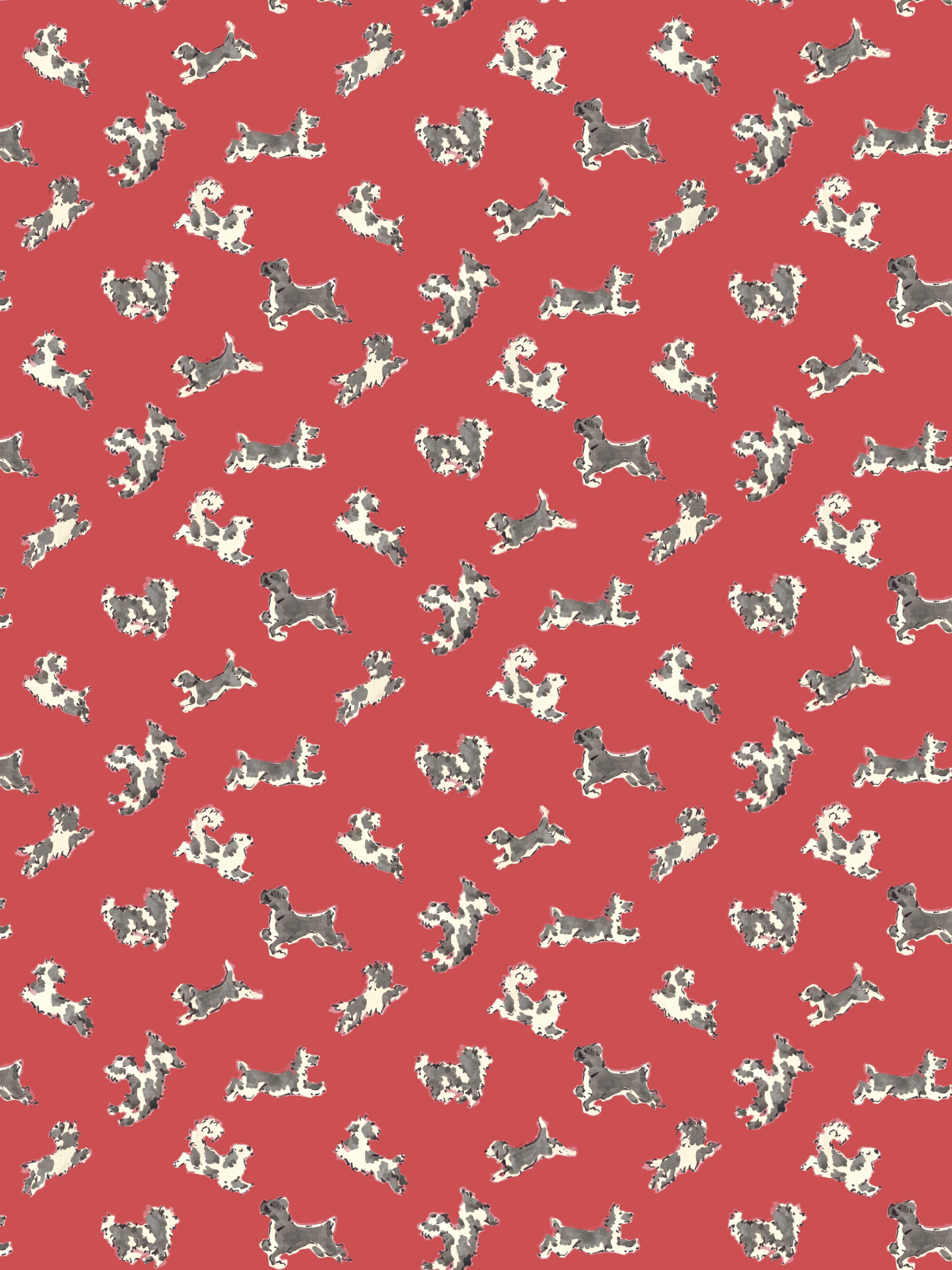 Fete De Chien wallpaper in red pepper and charcoal color - pattern number SC WP88183D0007 - by Scalamandre in the  collection