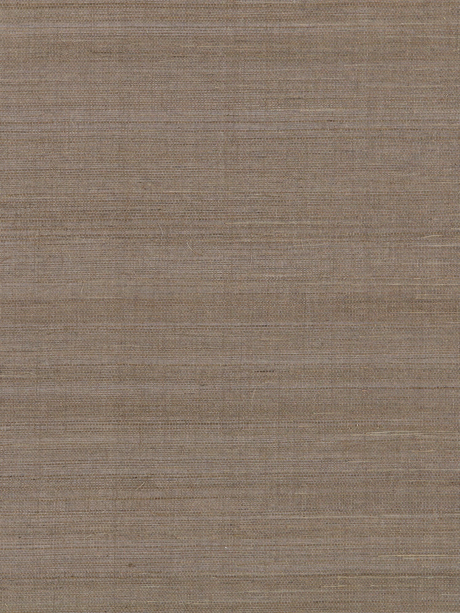 Fine Sisal wallpaper in nickel color - pattern number SC 0007WP88341 - by Scalamandre in the  collection