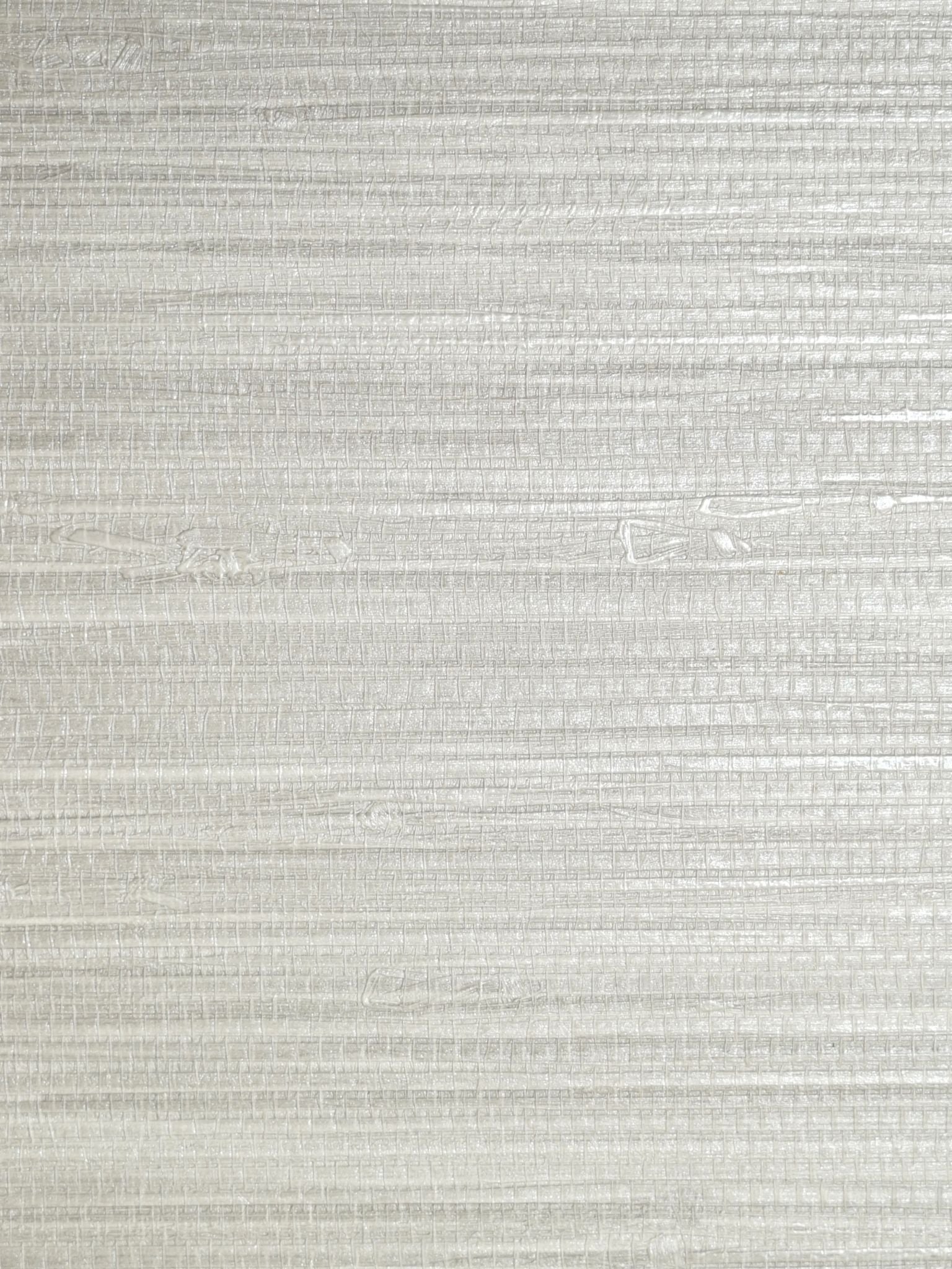 Pampas fabric in silver color - pattern number SC 0008WP88438 - by Scalamandre in the  collection