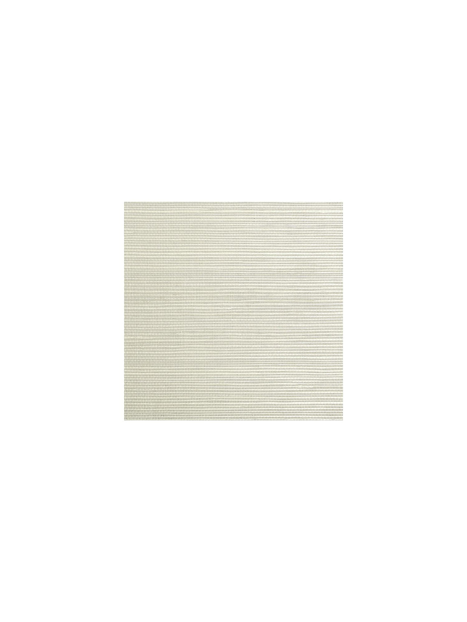 Sisal fabric in pewter color - pattern number SC 0009G1193 - by Scalamandre in the  collection